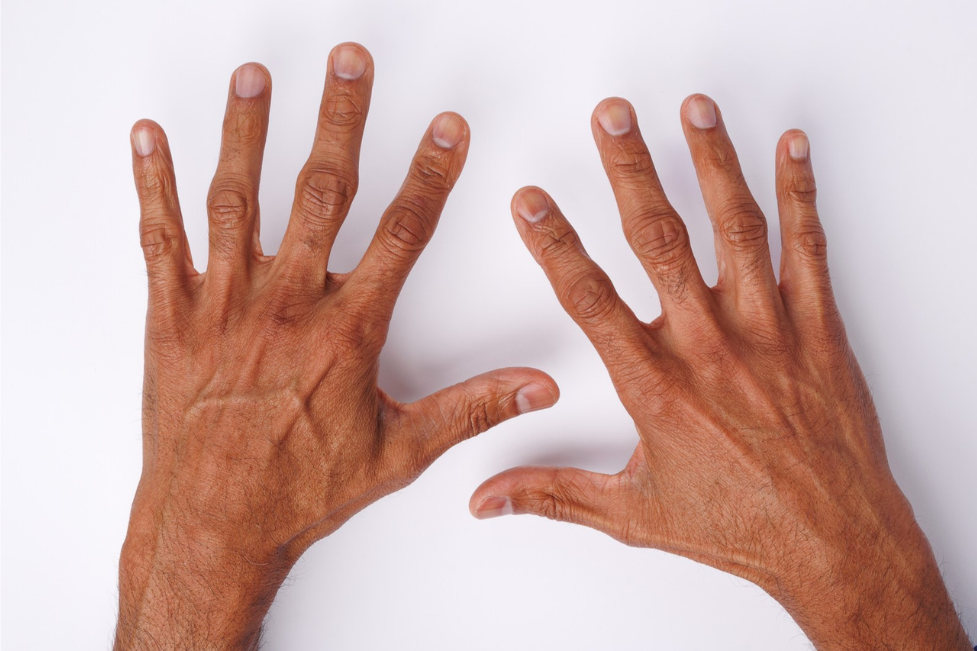 Hand Model Male - Dylan Jawahir Back of Hands on White Background