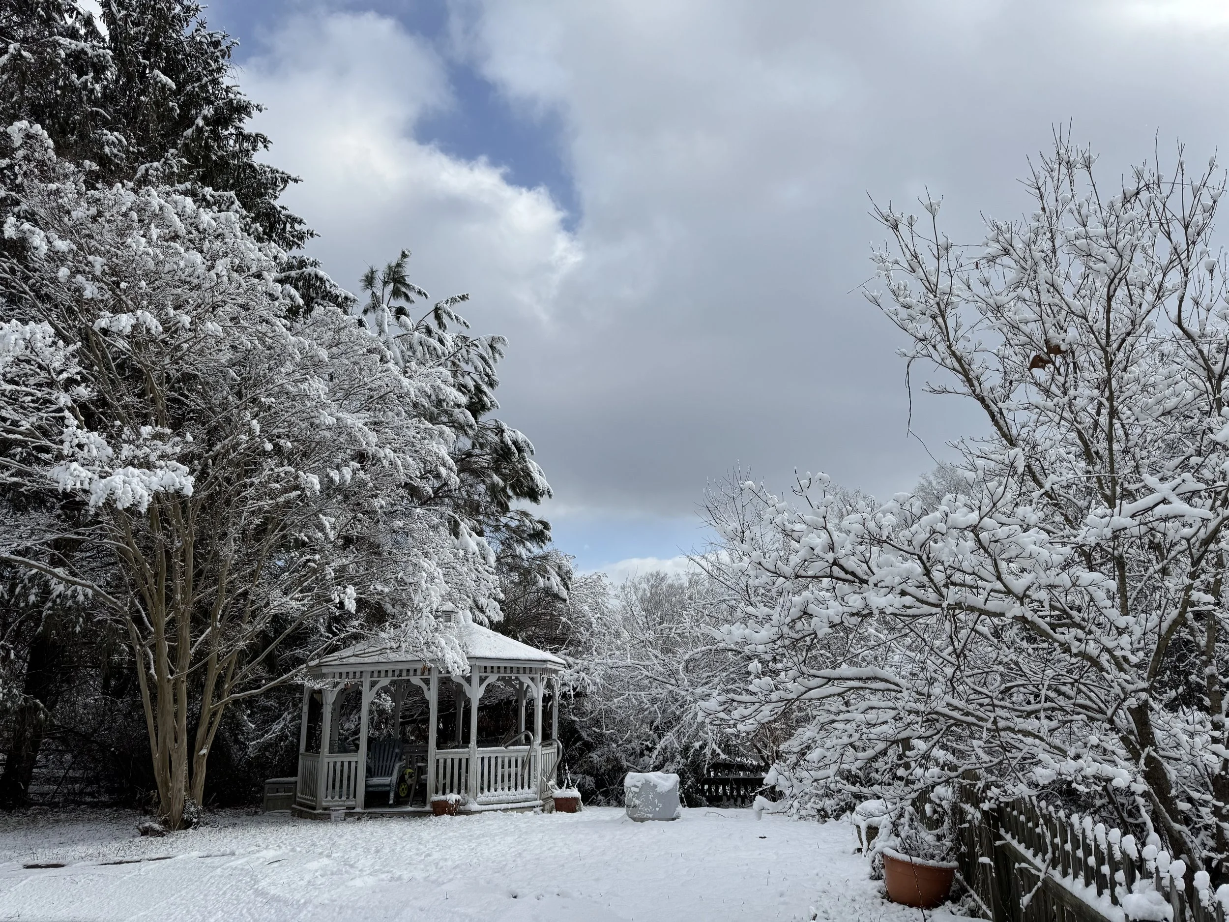 Welcome to the Meadow