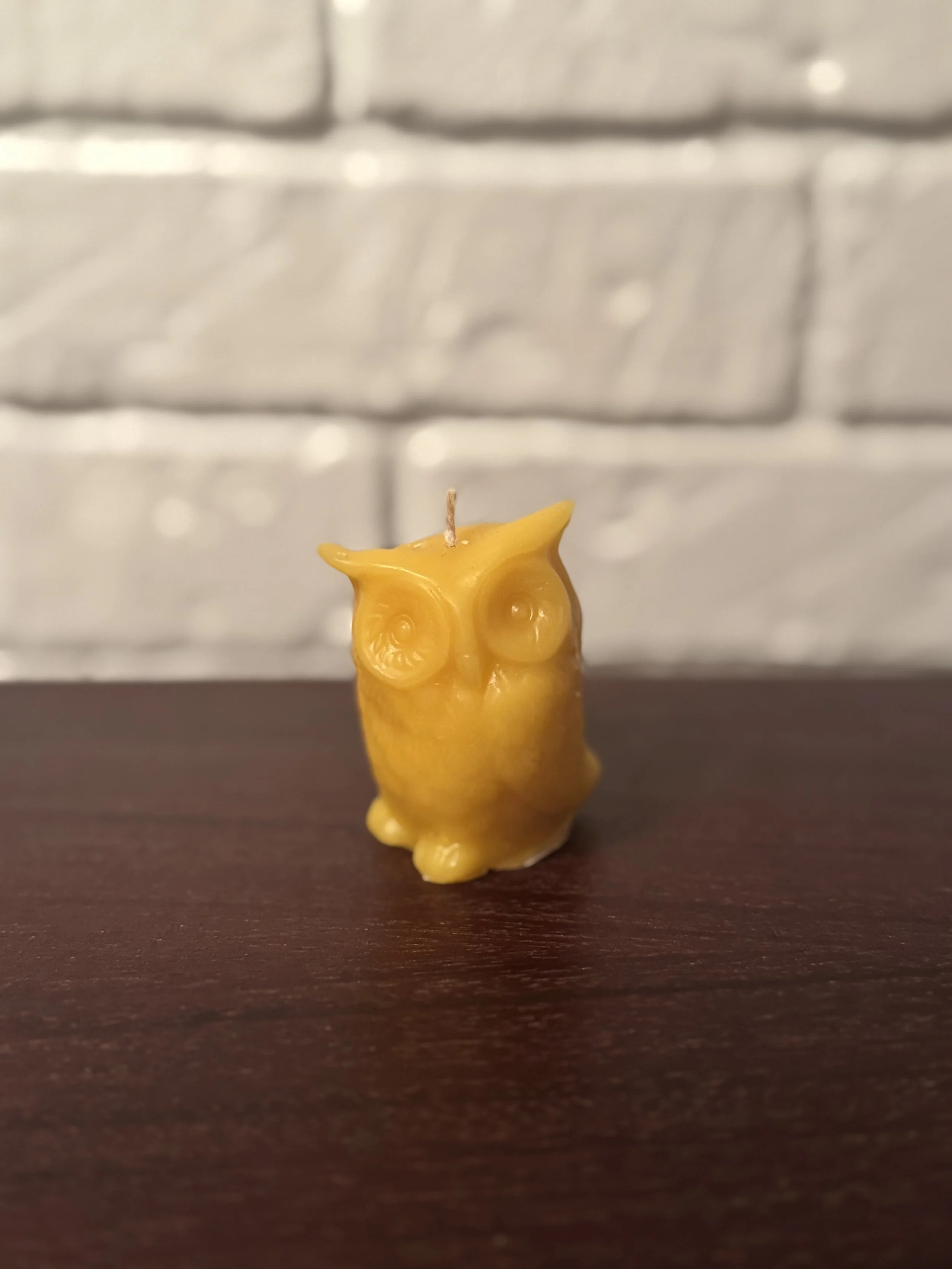 Owl Candle