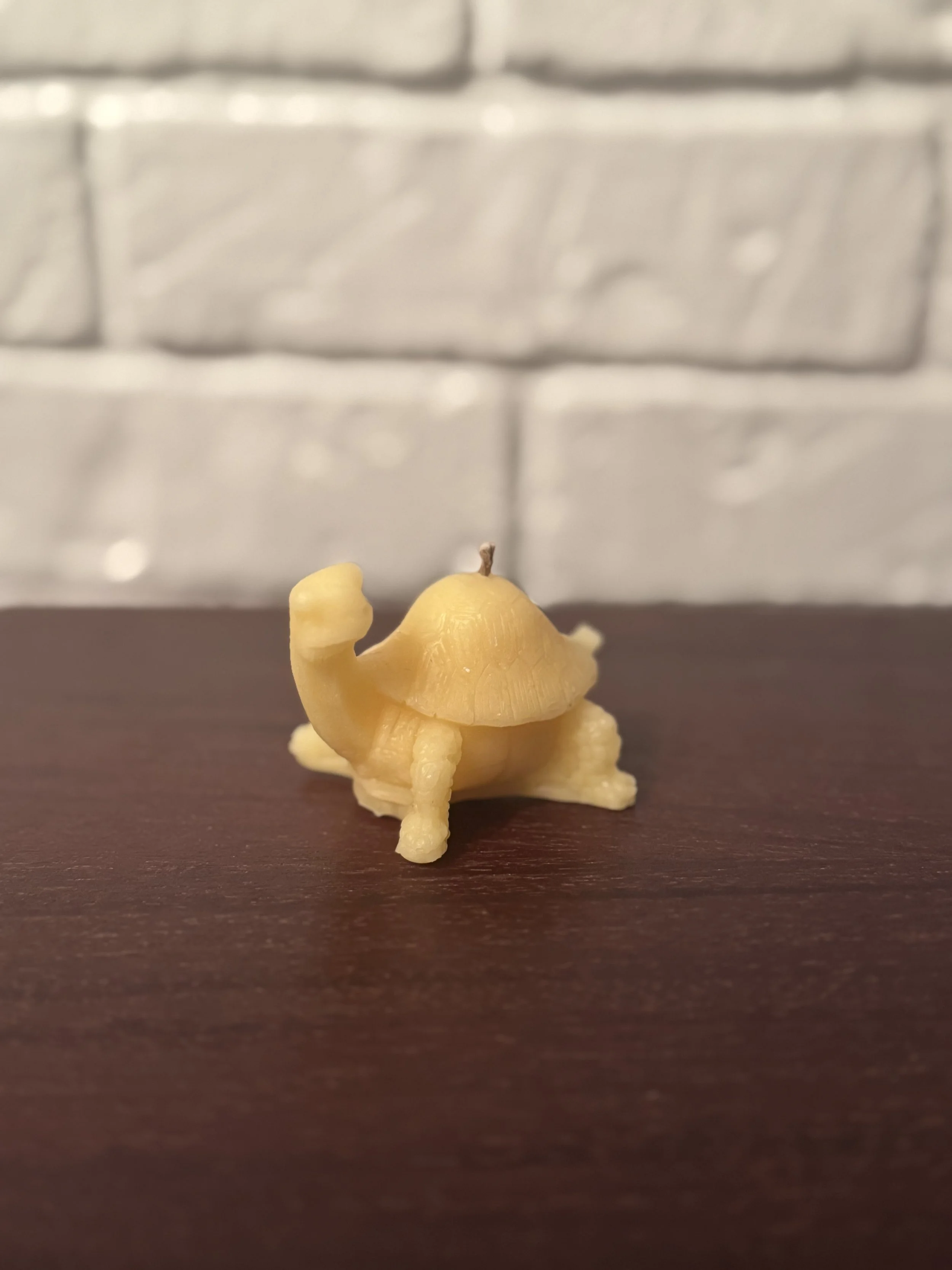 Turtle Beeswax Candle