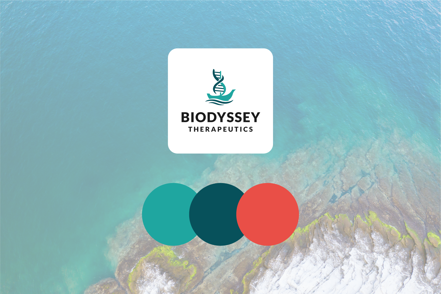 A logo for Biodyssey Therapeutics with an abstract design of a DNA strand and a boat, along with three color swatches in teal, dark teal, and coral, set against an aerial view of a coastline with blue-green water and rocks.