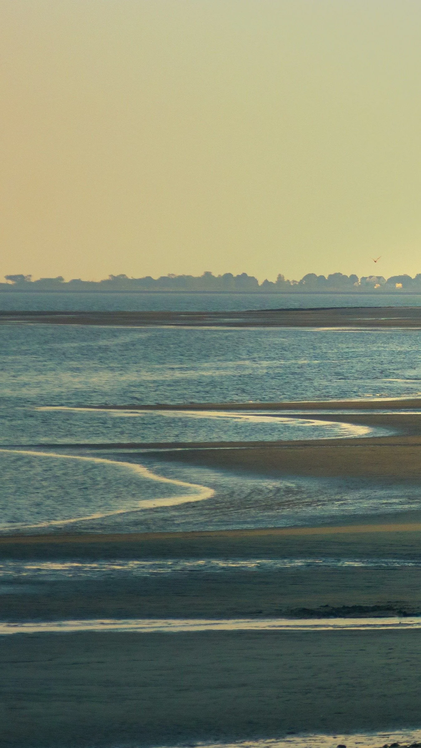 A seascape with shallow waters, sandbars, and distant trees on the horizon under a cloudy sky.