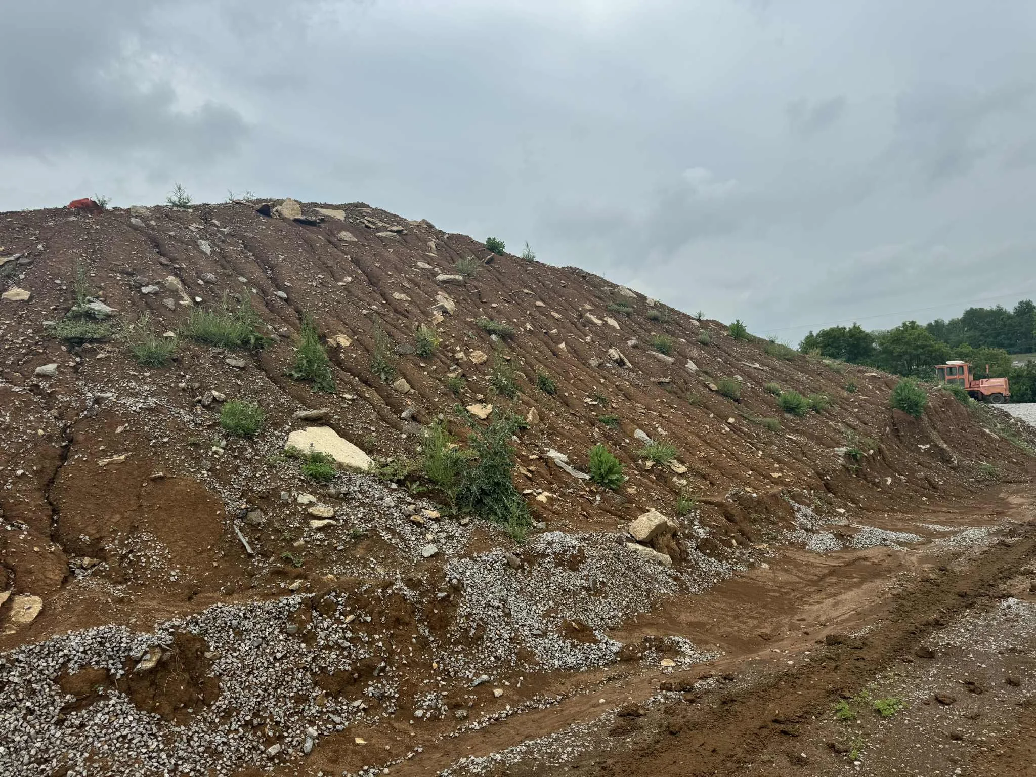 Small green plants growing on a sloped dirt roadside with a large orange truck parked in the background under cloudy sky.
