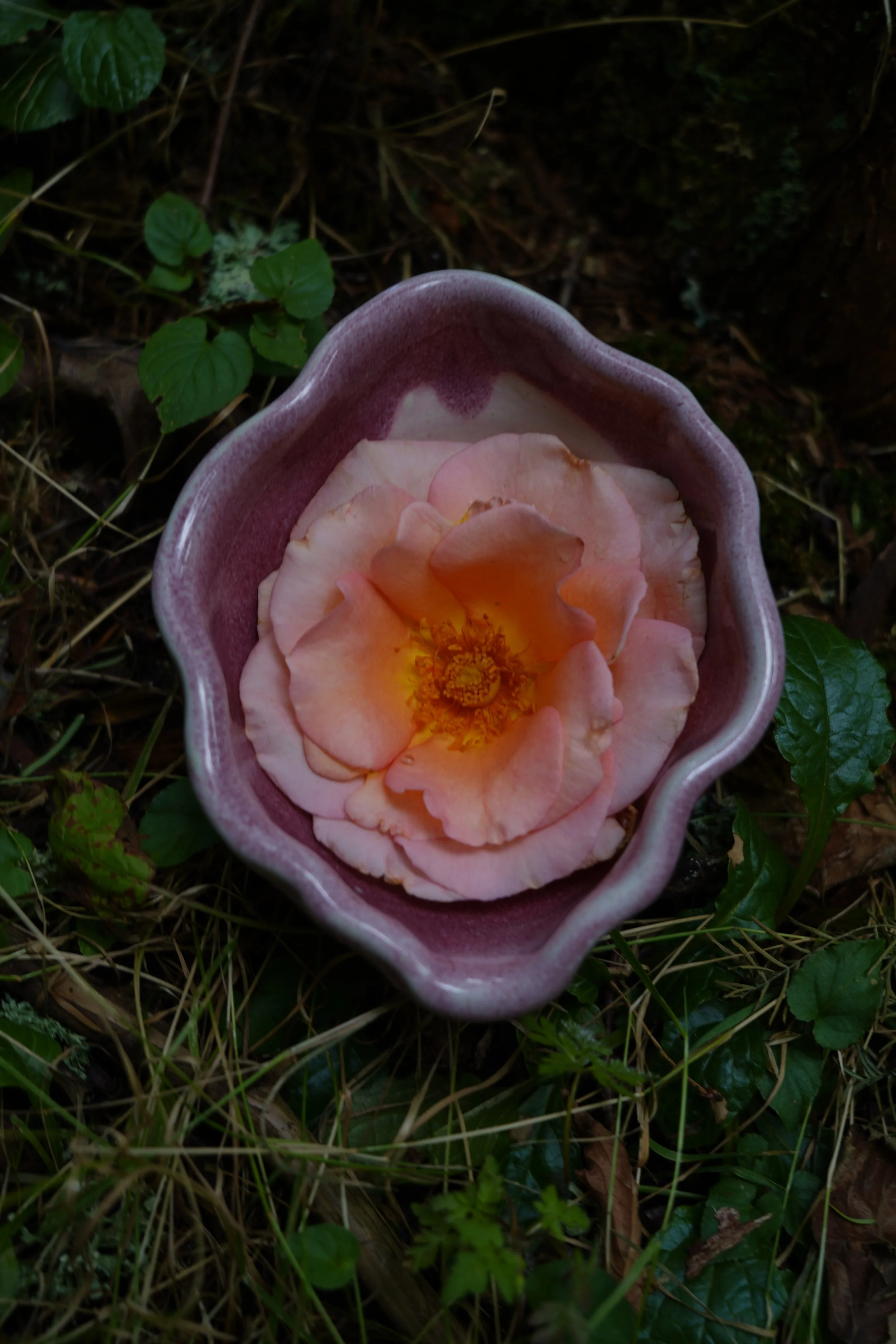 Embodied Wisdom Yoni