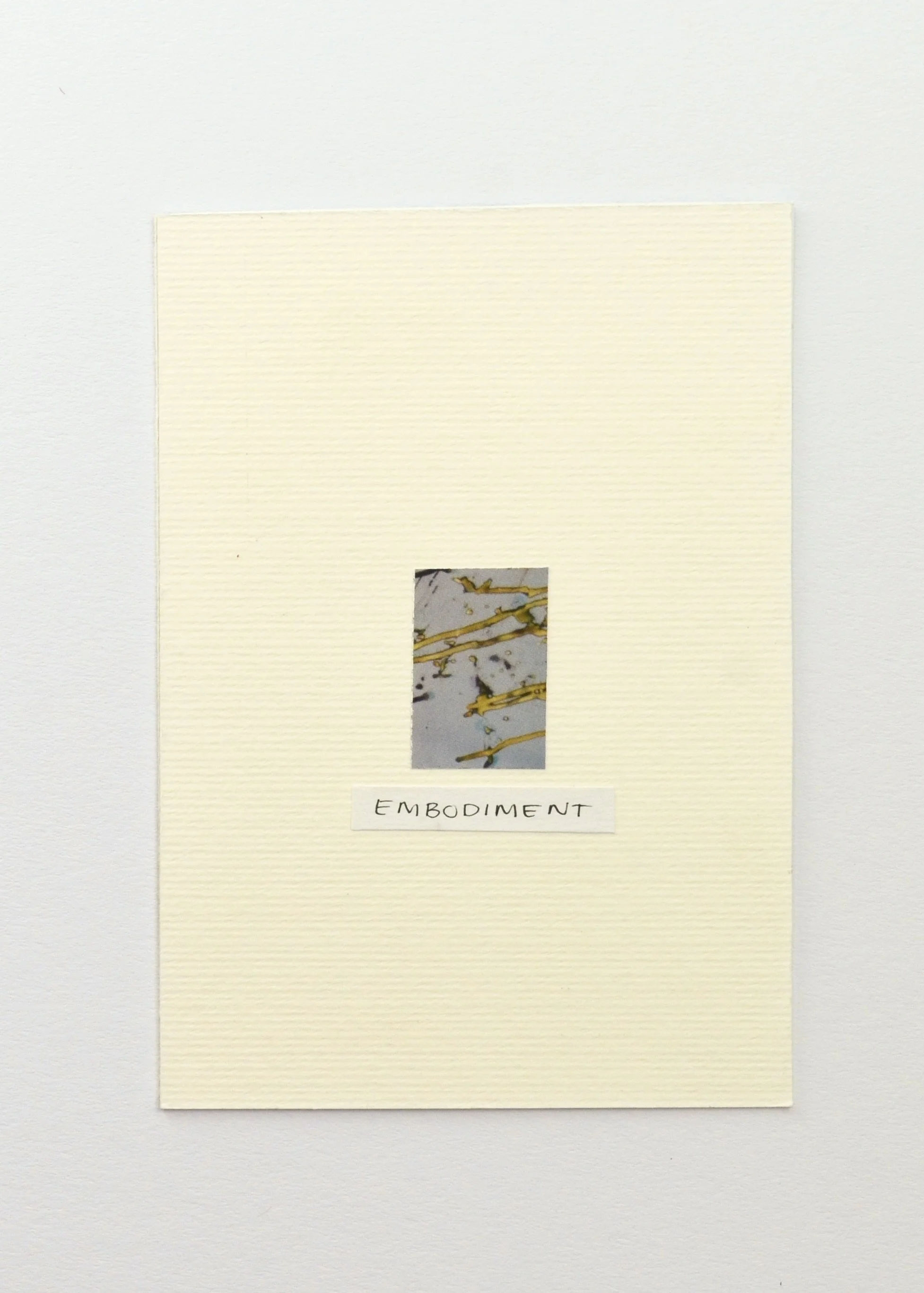 embodiment (back)