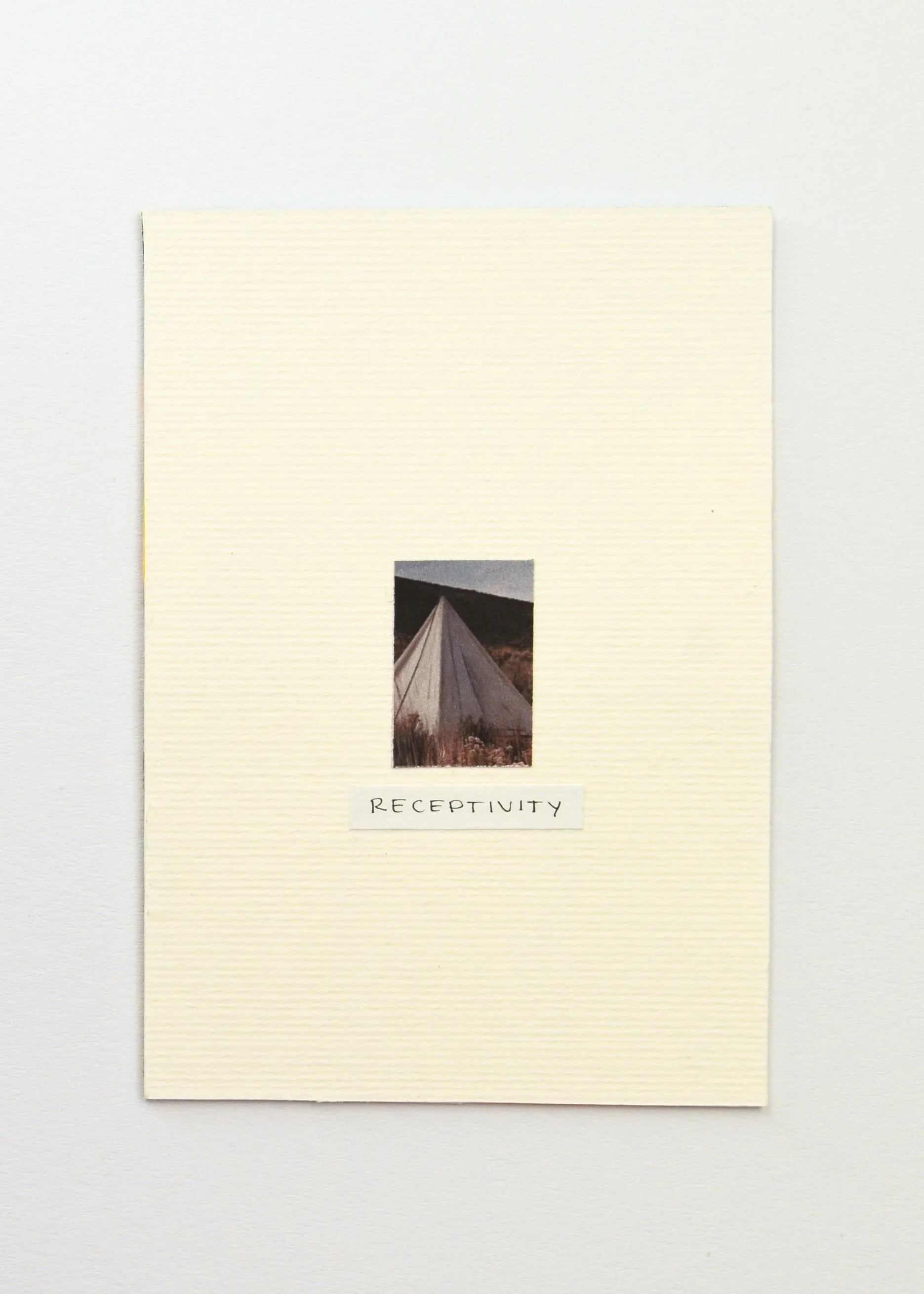 receptivity (back)