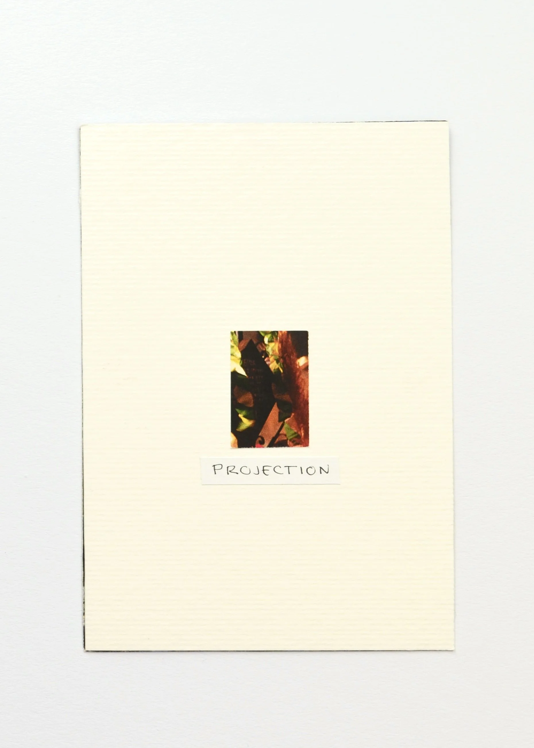 Projection (back)