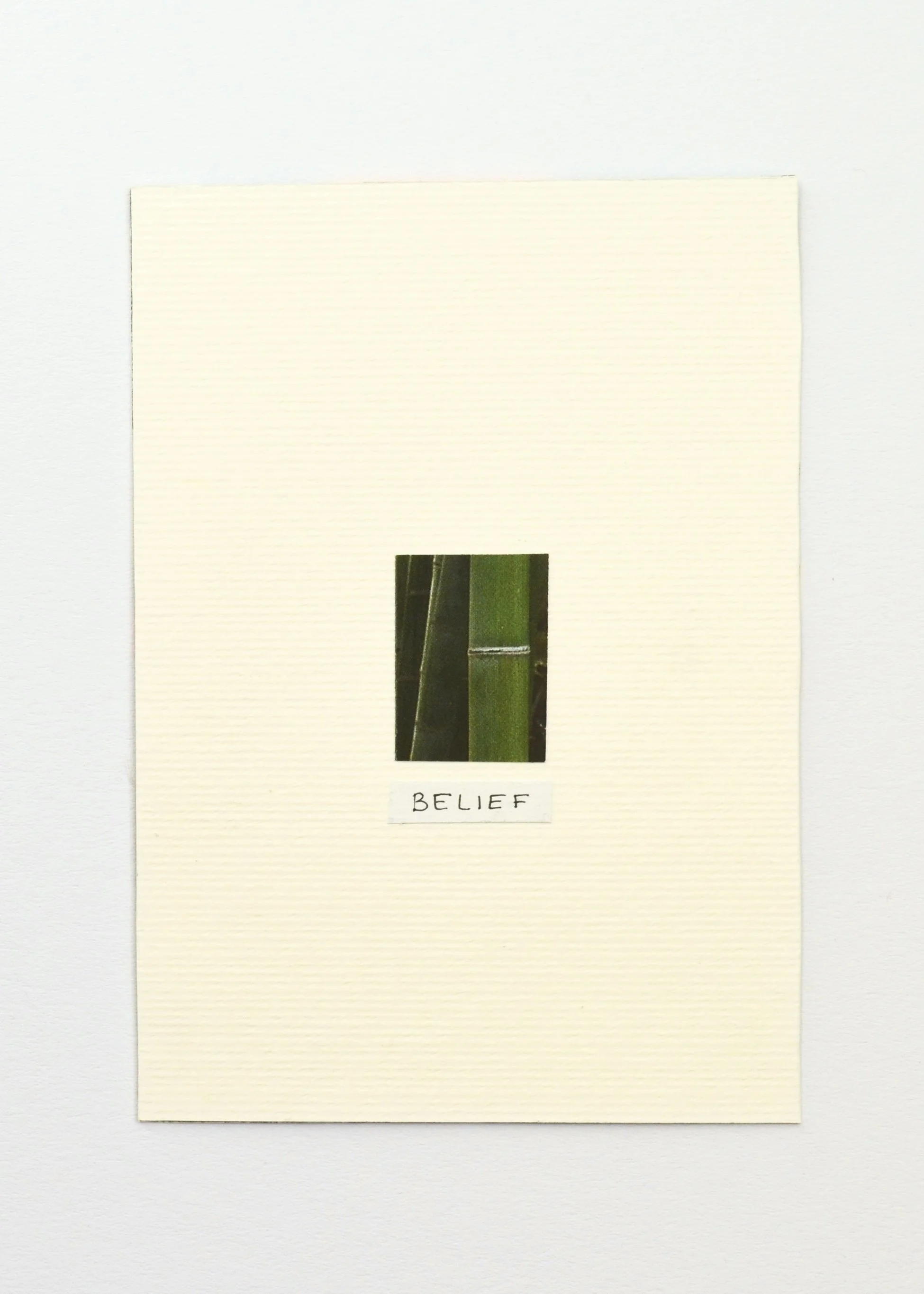 belief (back)