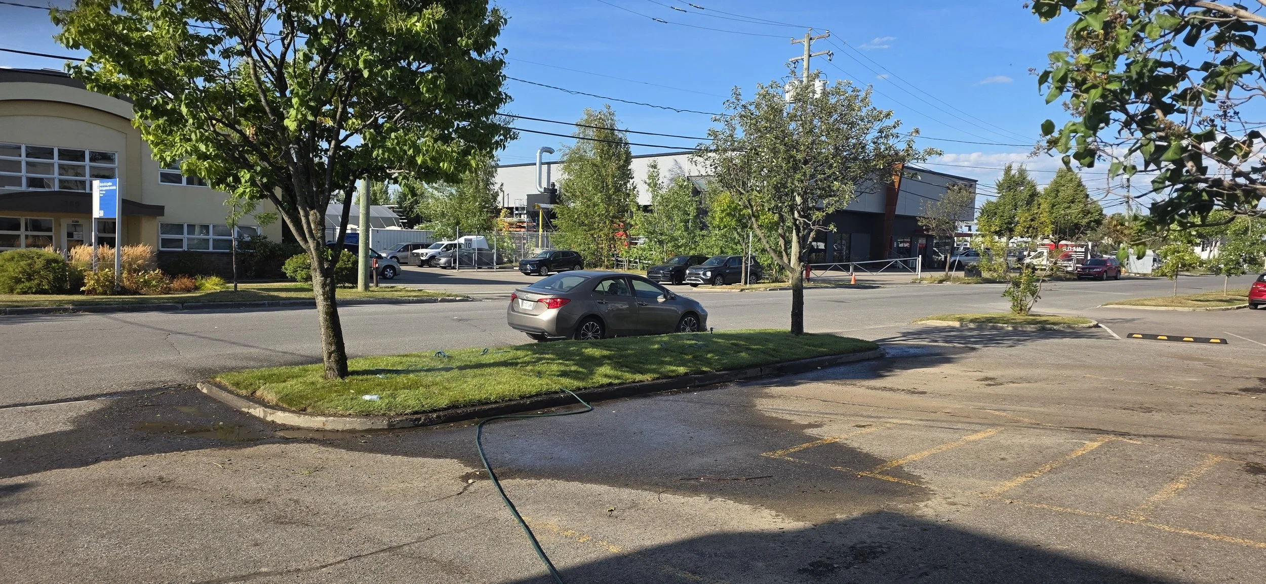 Une vue d'une rue commerçante en plein jour avec plusieurs voitures garées et quelques arbres. Au premier plan, une petite zone arborée avec un tuyau d'arrosage et une partie d'un parking.