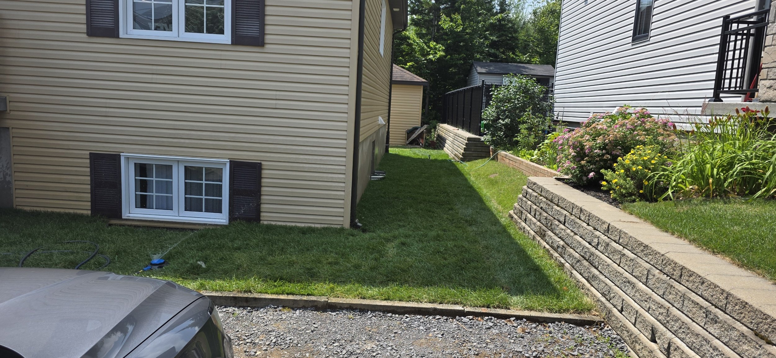 Jardin avec pelouse, fleurs et escaliers en briques entre deux maisons avec siding en vinyl, fenêtres, et clôtures, sous un ciel ensoleillé.