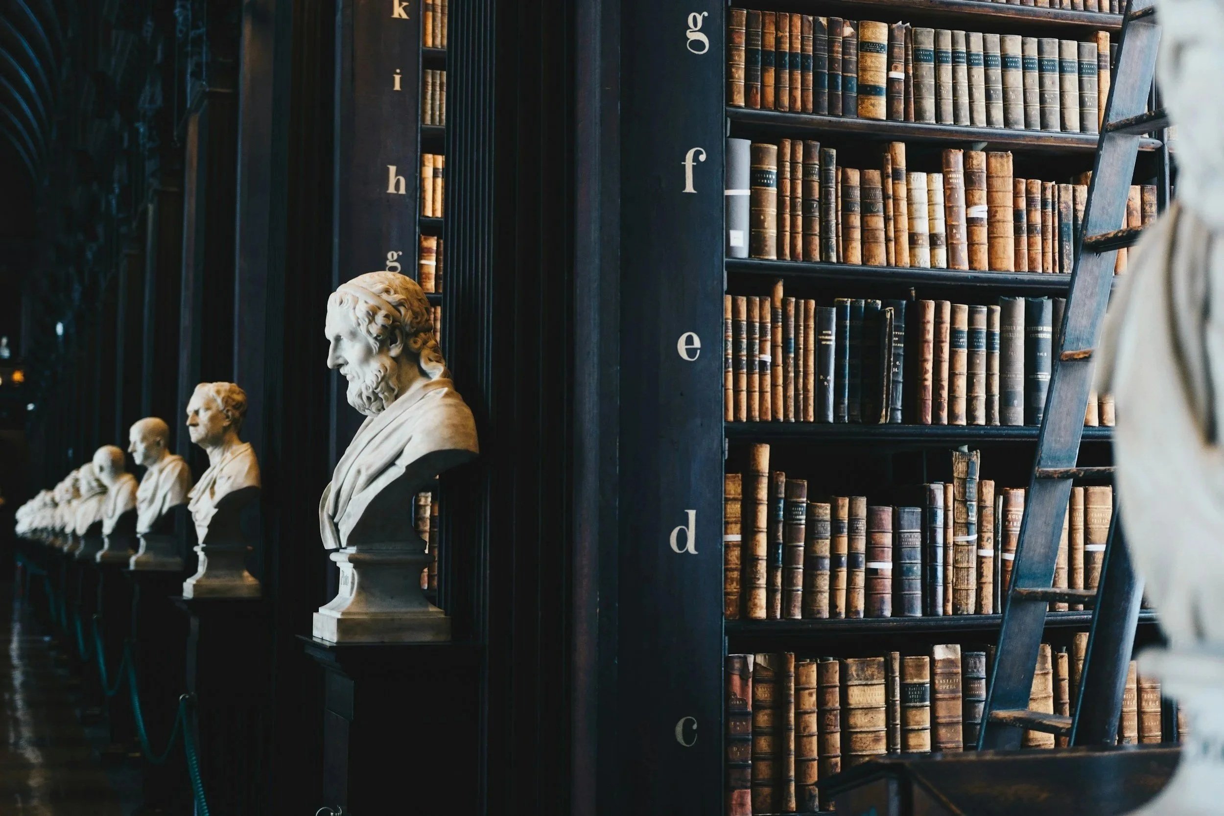 Rows of bust sculptures of historical figures on black pedestals inside a library, with tall dark wooden bookshelves filled with old books in the background.