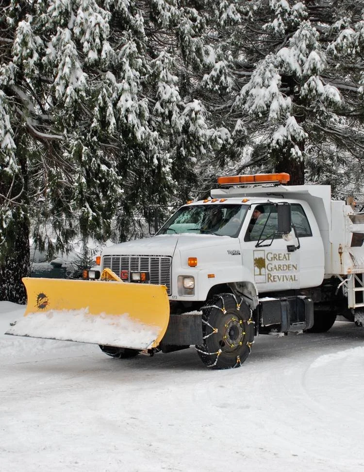 Snow Removal
