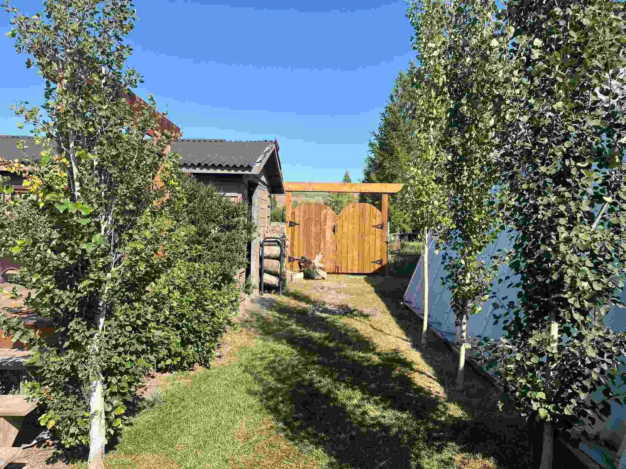 A backyard garden with a grassy area, trees on both sides, a wooden gate at the back, and a small building with a dark roof on the left. There is a chicken in front of the gate.