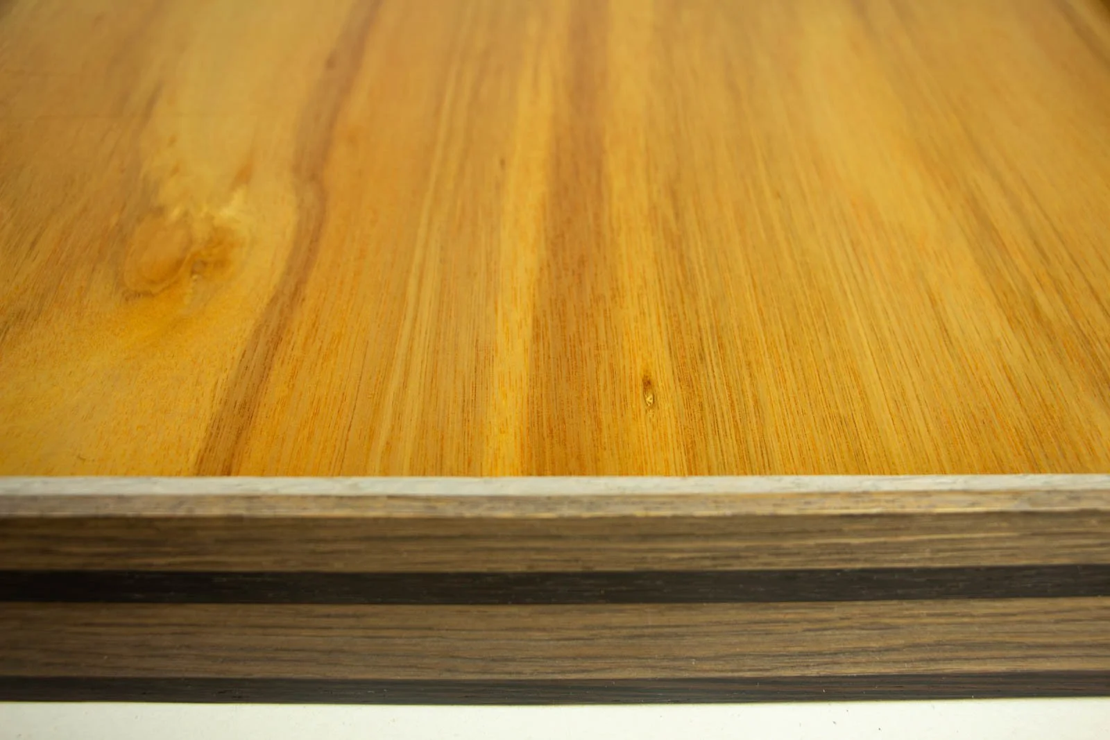 Synaptic Mythos 001 frame: rear view, sealed hardwood backboard in warm honey tones; frame edge shows ash-stained oak and wengé banding