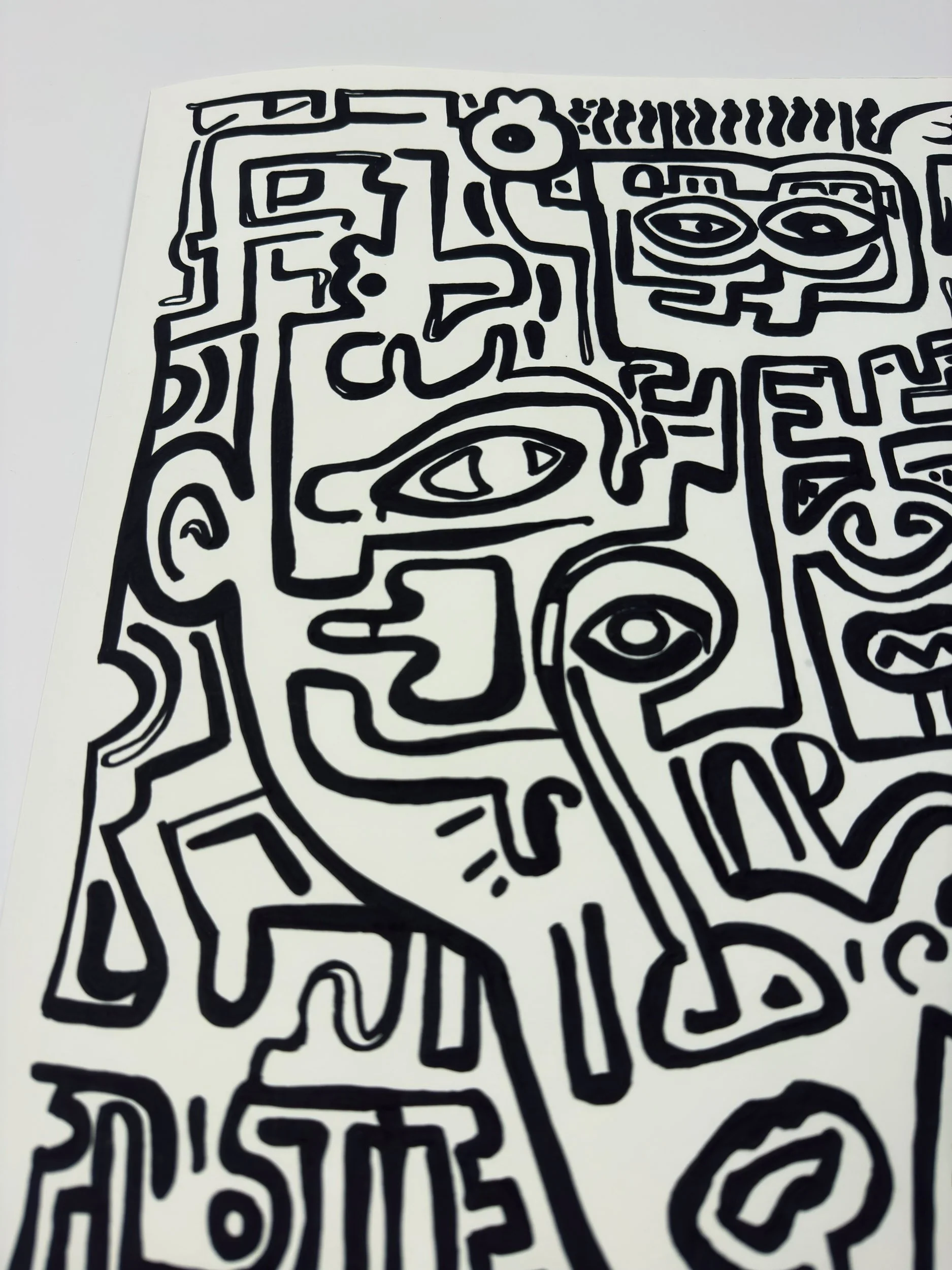 Elusive Cocoon.Artwork4.SignedEditions.Poster.details4.jpg