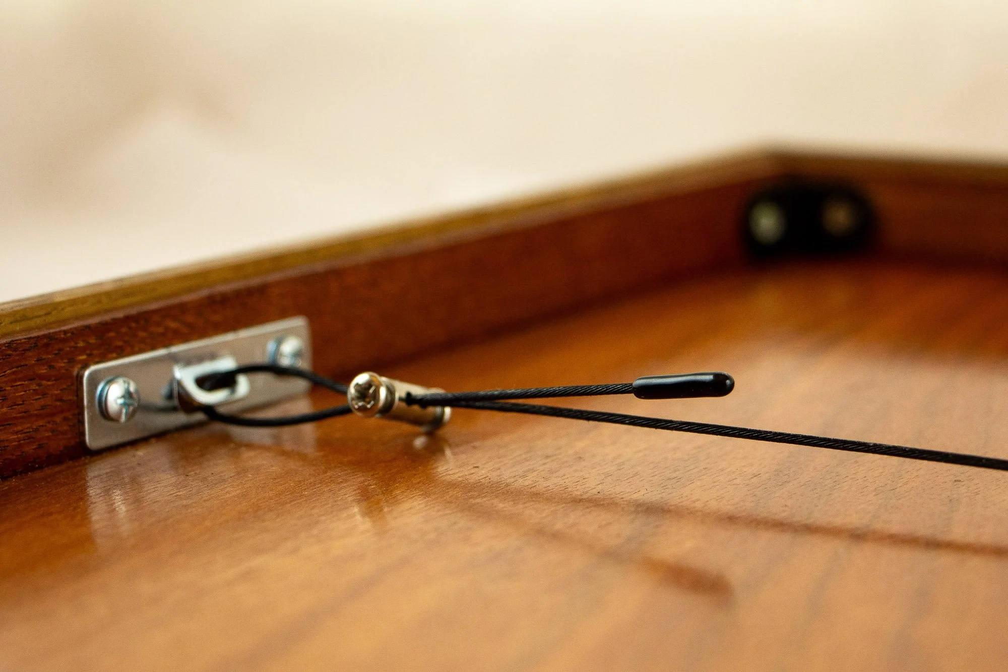 Veiled Alchemist 003 frame detail: back view close-up of the hanging system, showing the metal plate, black steel cable, and hardware fixed neatly against the warm-toned wooden back panel.