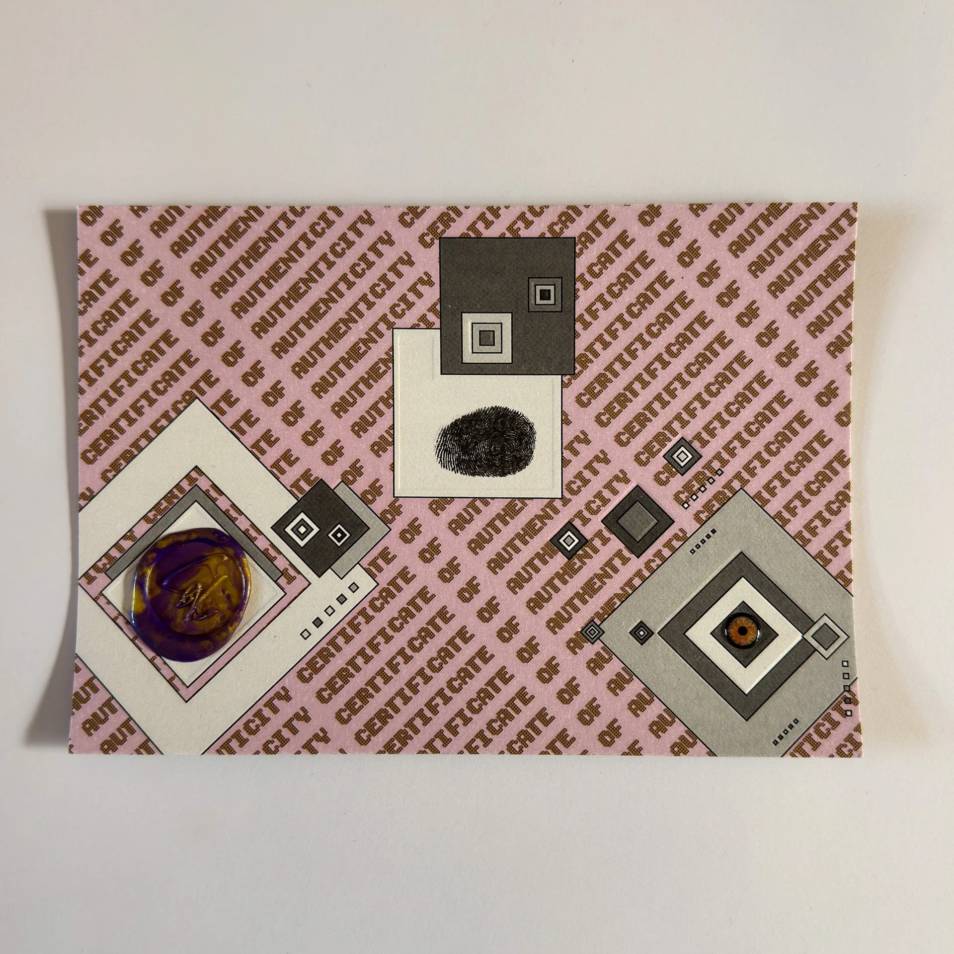 Certificate.Elusive Cocoon.jpg