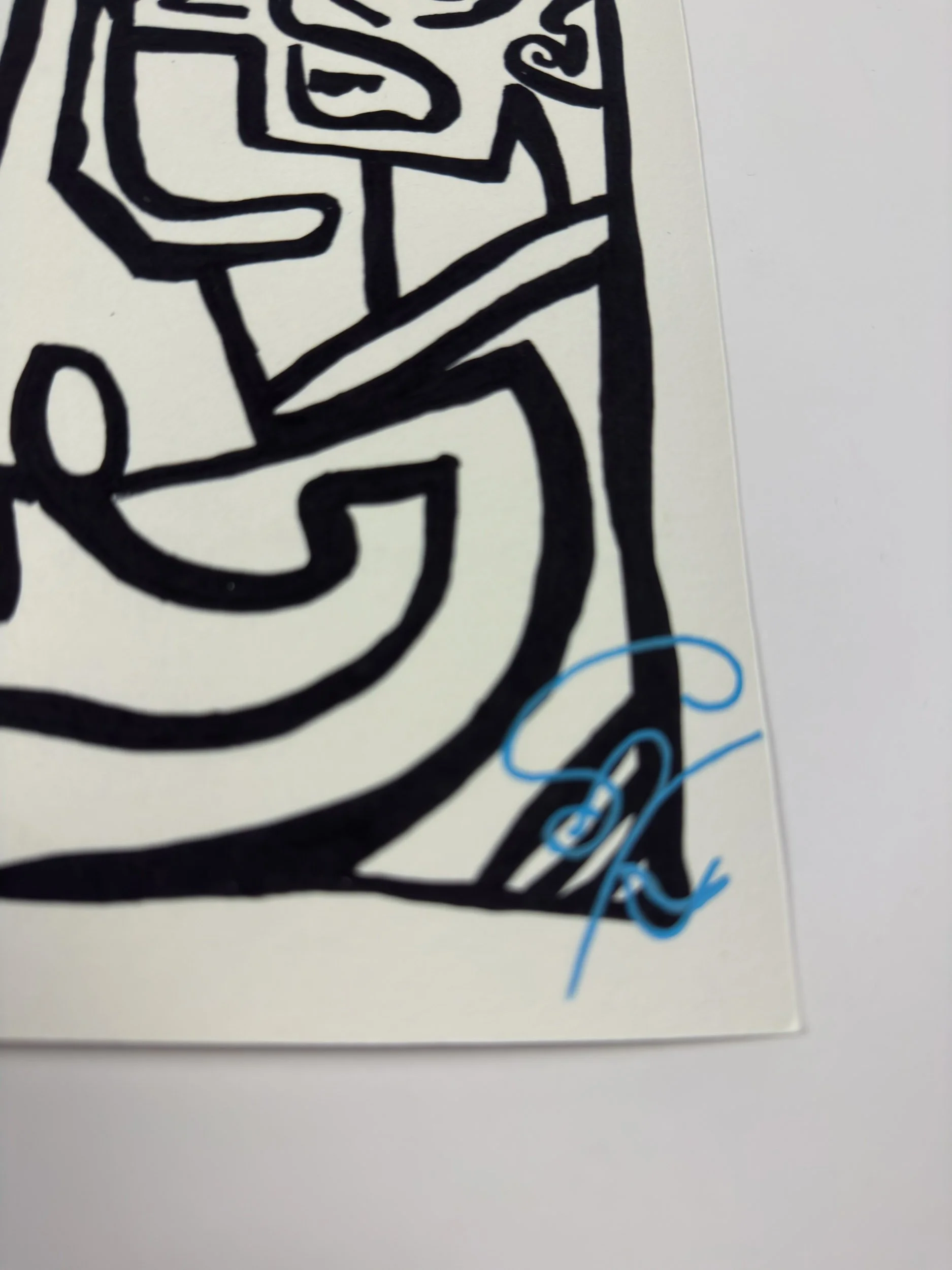 Elusive Cocoon.Artwork3.SignedEditions.Poster.details1.jpg