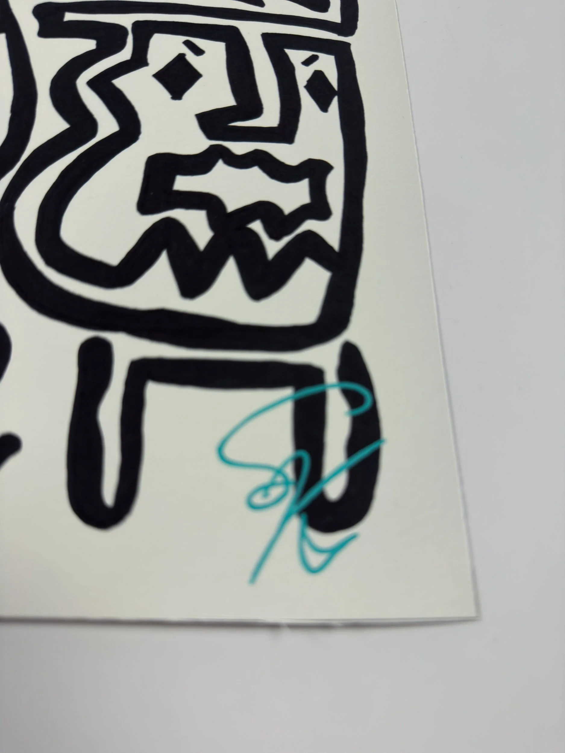 Elusive Cocoon.Artwork4.SignedEditions.Poster.details1.jpg