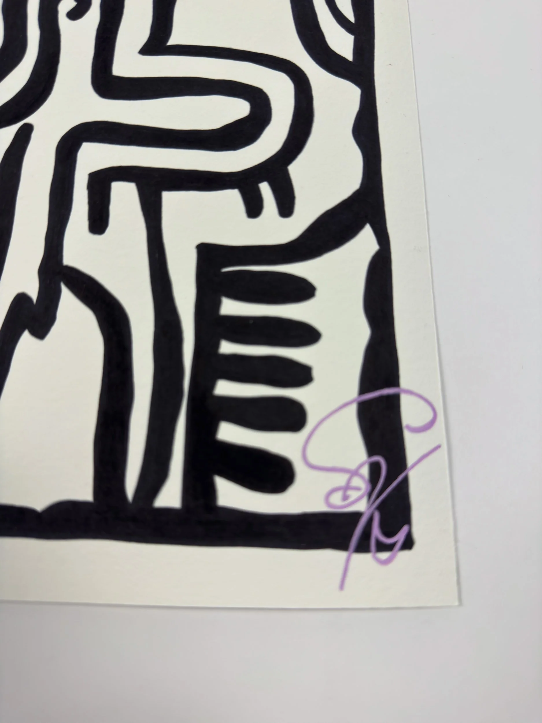 Elusive Cocoon.Artwork2.SignedEditions.Poster.details1.jpg