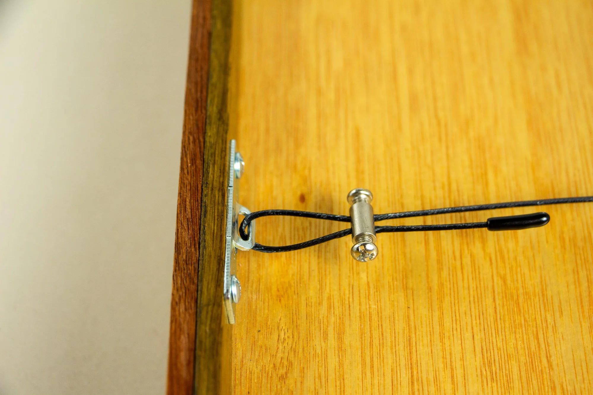 Turbulent Aegis 001 frame detail: close-up of the rear hanging hardware, showing the wire suspension system mounted against the wooden back panel.