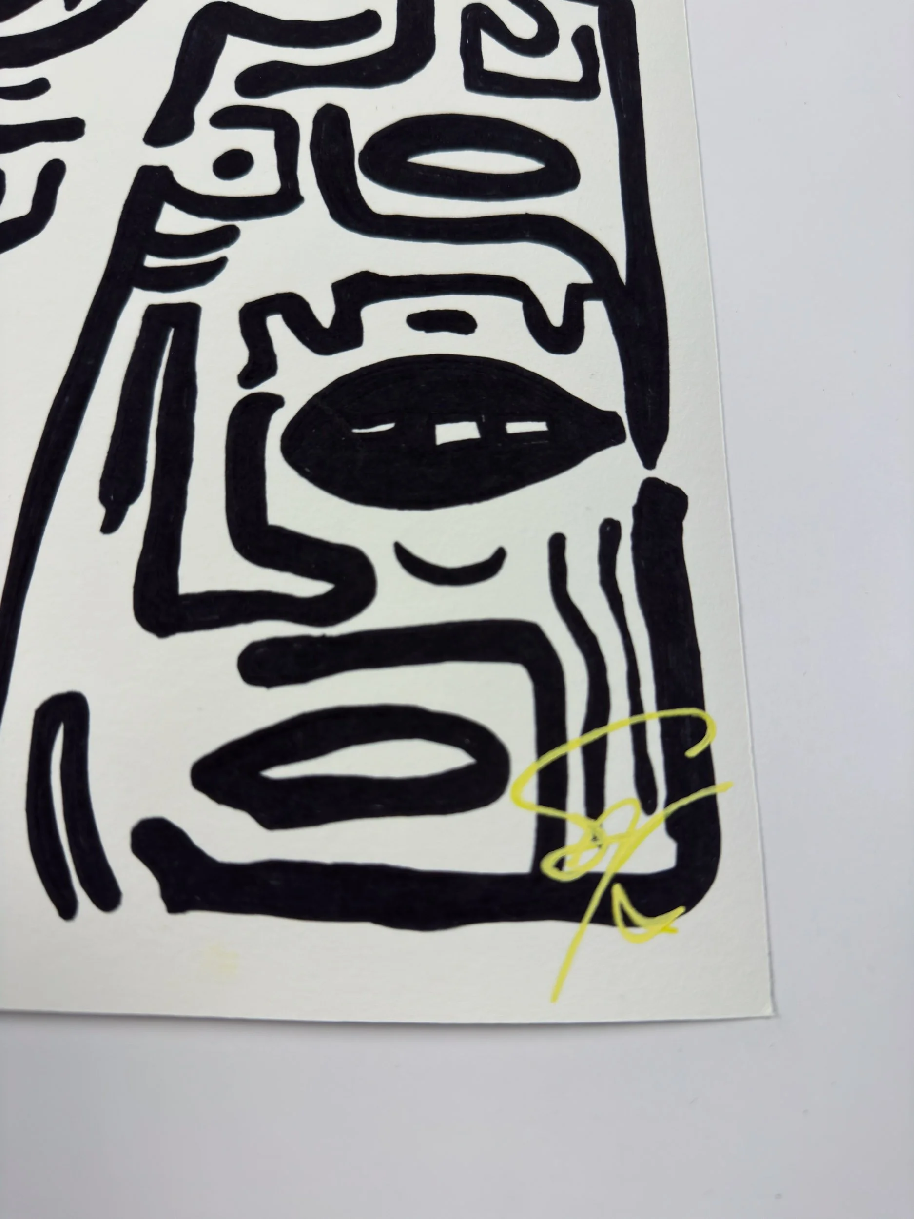 Elusive Cocoon.Artwork1.SignedEditions.Poster.details1.jpg