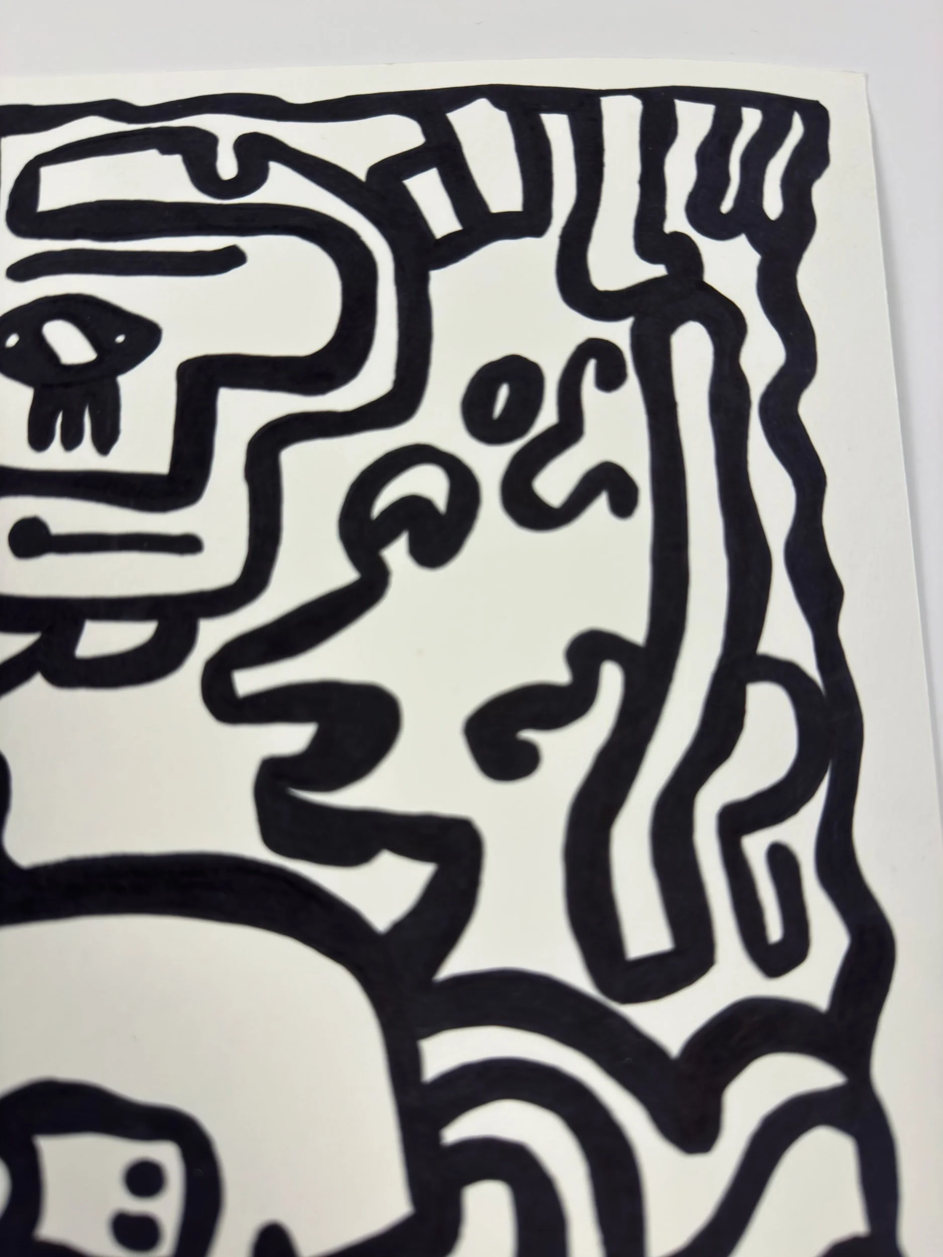 Elusive Cocoon.Artwork2.SignedEditions.Poster.details6.jpg