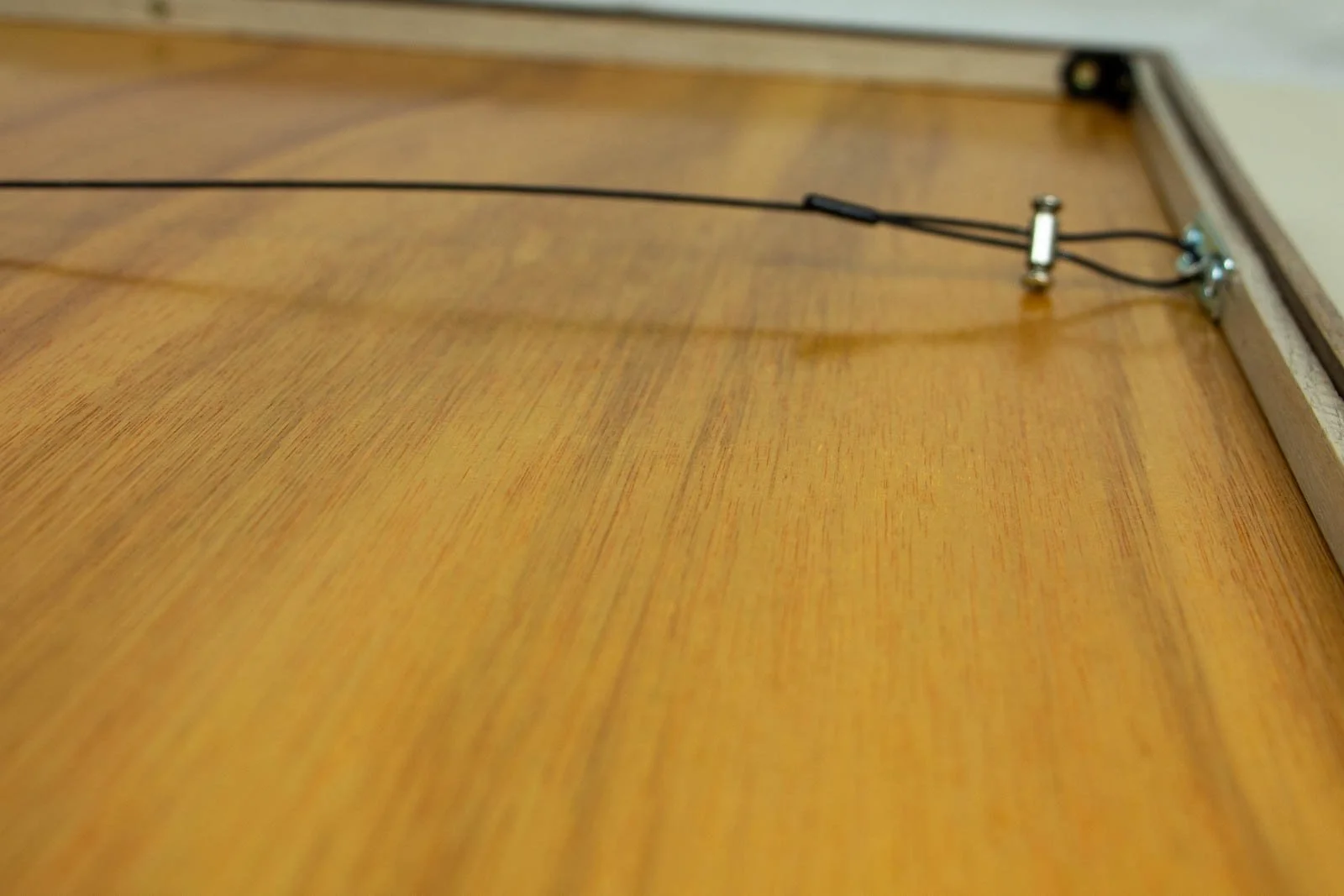 Synaptic Mythos 001 frame: hanging hardware, steel plate with black cord and compression barrel; ready to hang