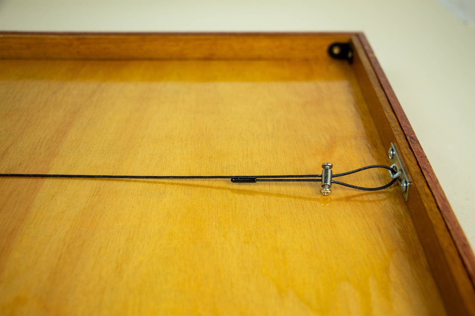 Metamorphic Entwining 001 frame: view with slotted hanger plate and adjustable wire clamp on the back panel