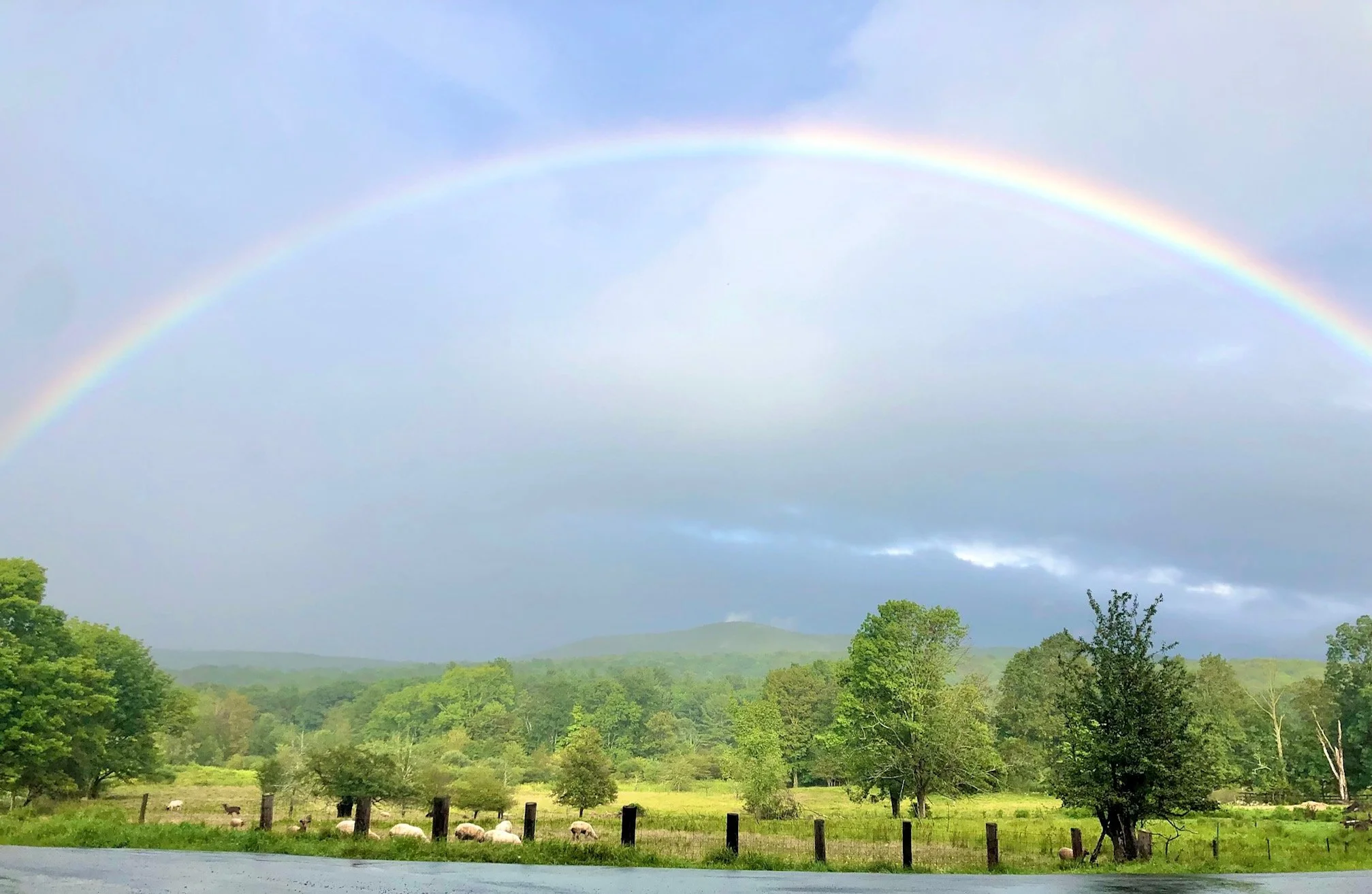 oldoak_hillsdale_rainbow.jpeg