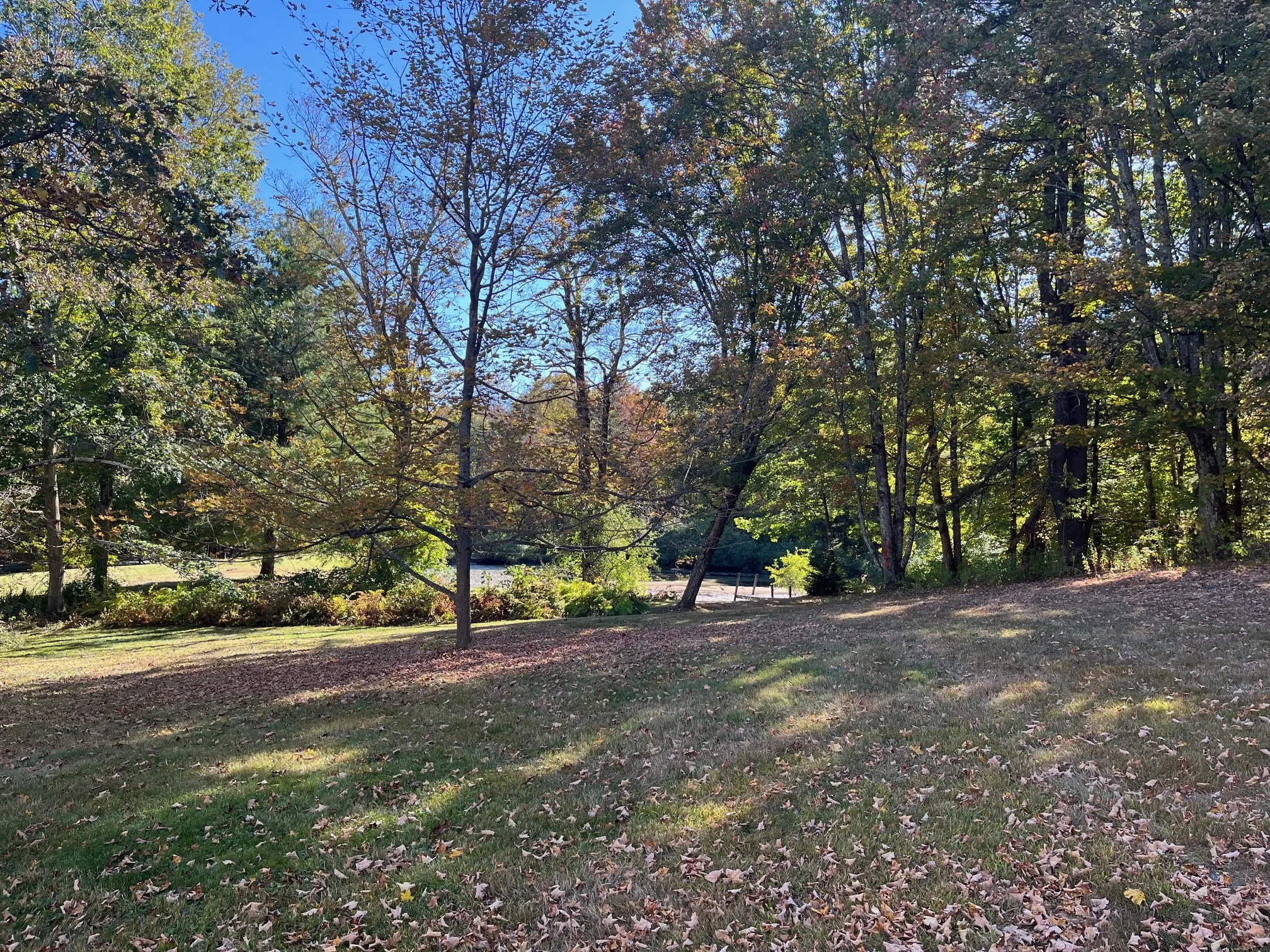 oldoak_pond_view.jpeg