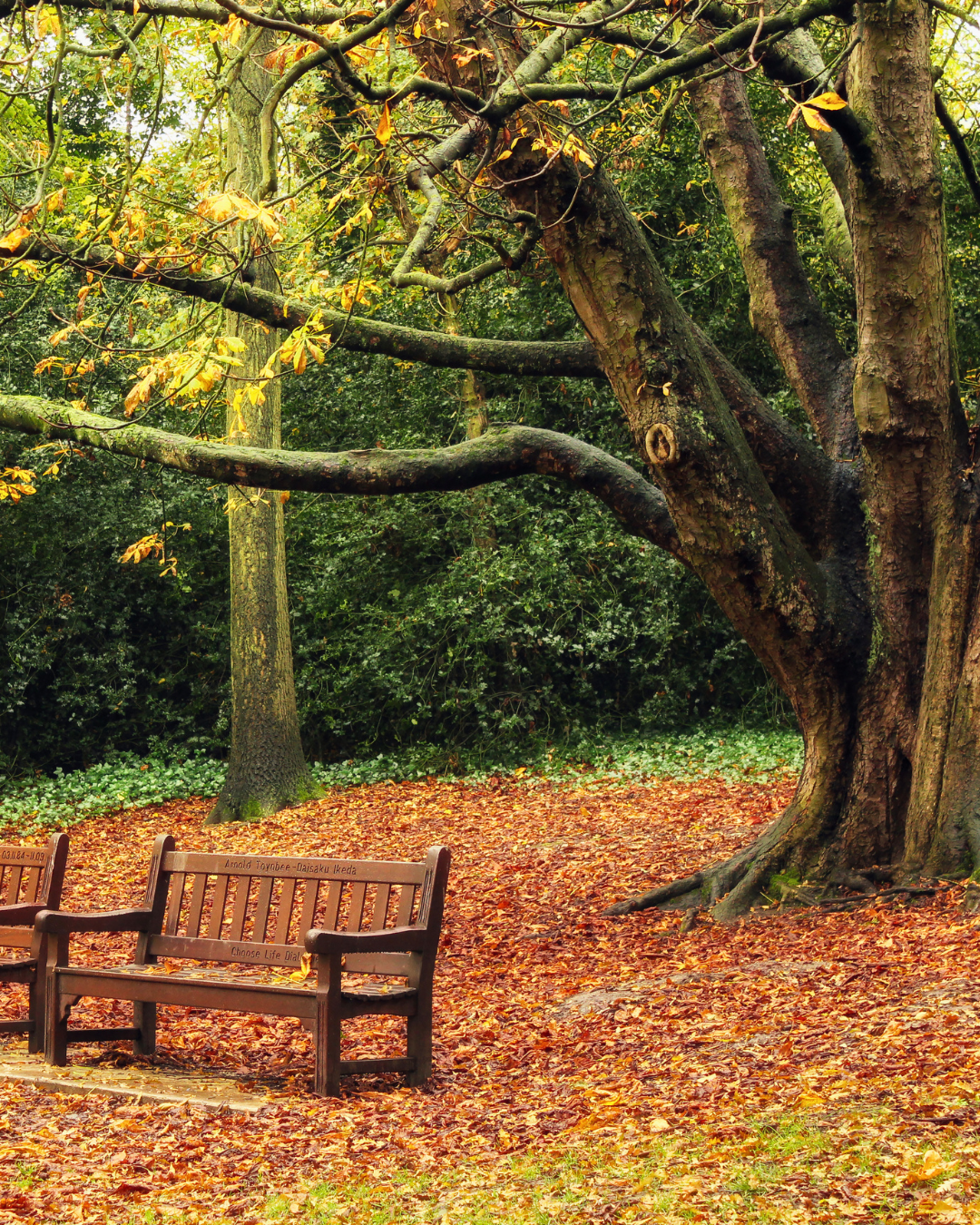 Weekend Russian-Speaking Nanny – Holland Park, London