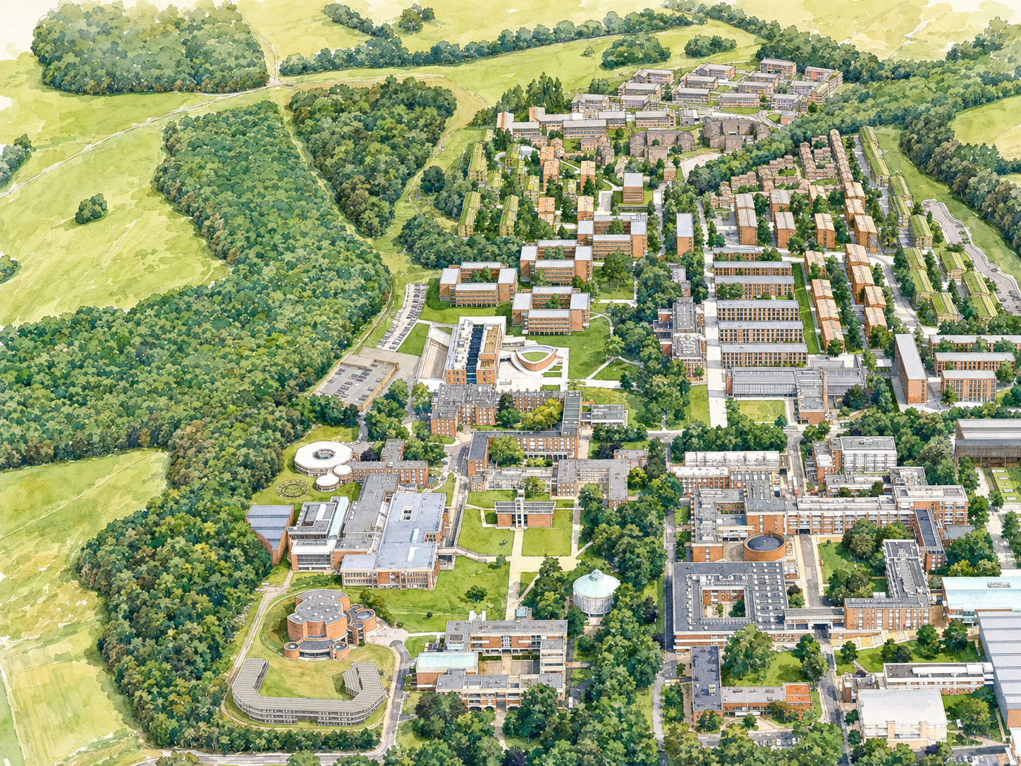 Campus Aerial — The Falmer campus in its South Downs setting.