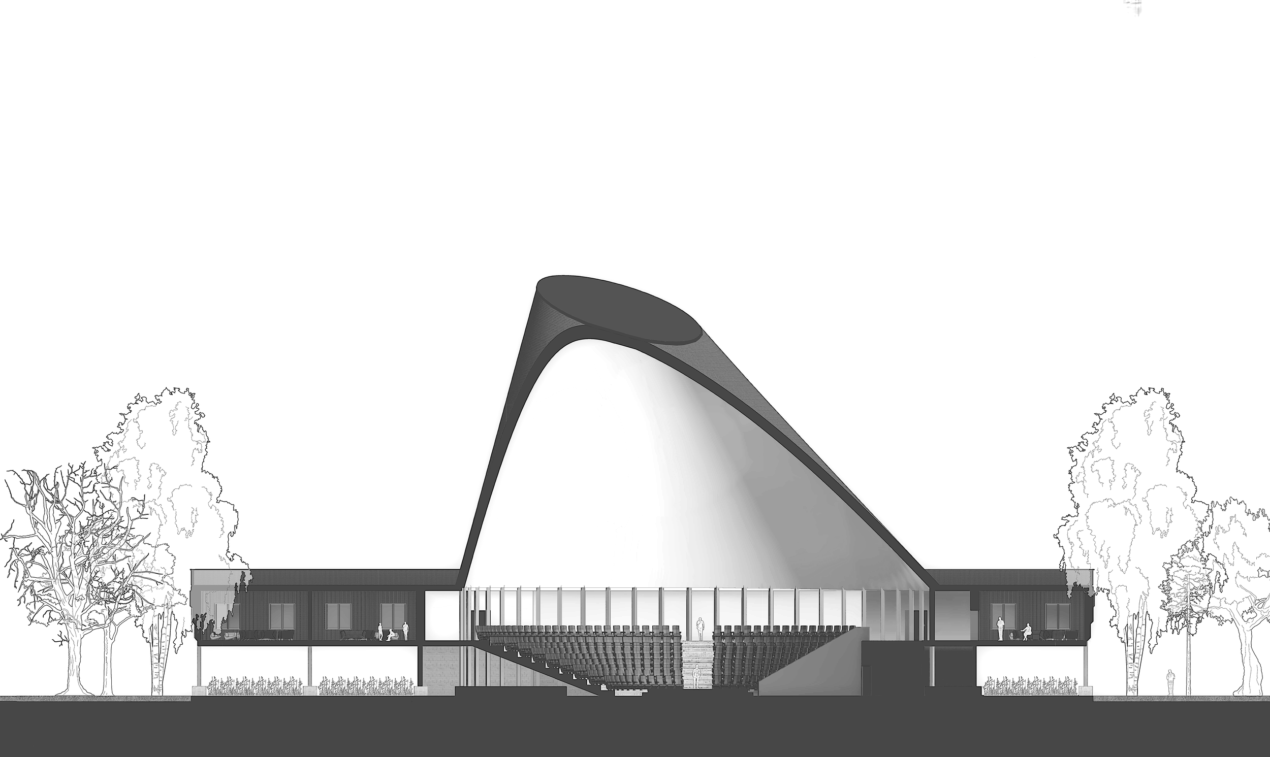 2026-08-29_RUNNYMEDE_PHOTOCAD-AUDITORIUM-SECTION-15_NEEDS-REVIEW_v01.png