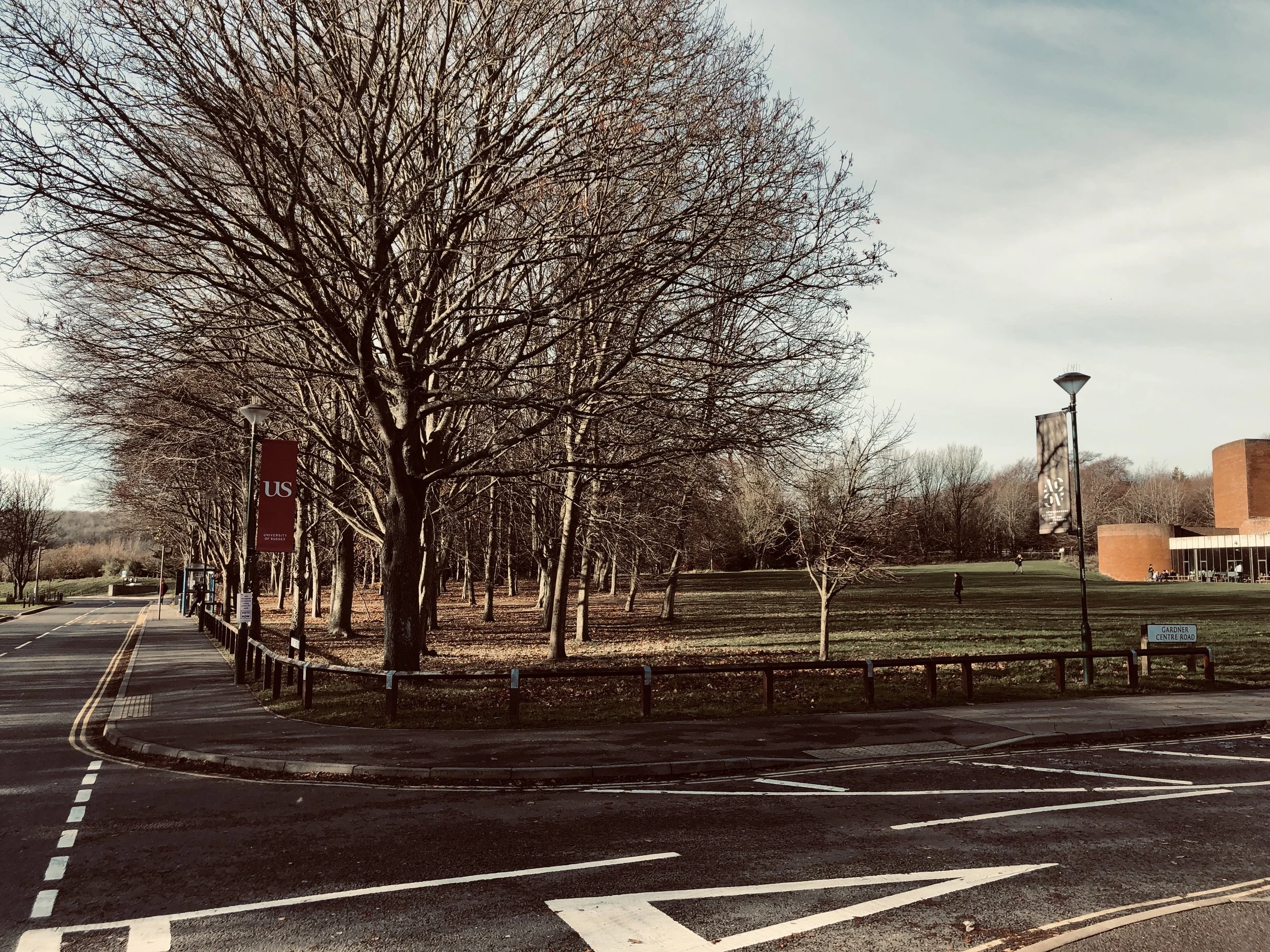 Campus Landscape — The chalk-down setting that frames Falmer and grounds the proposal in its wider geography