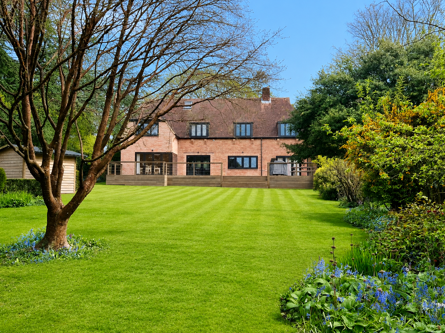 Back Garden — Existing lawn and planting.