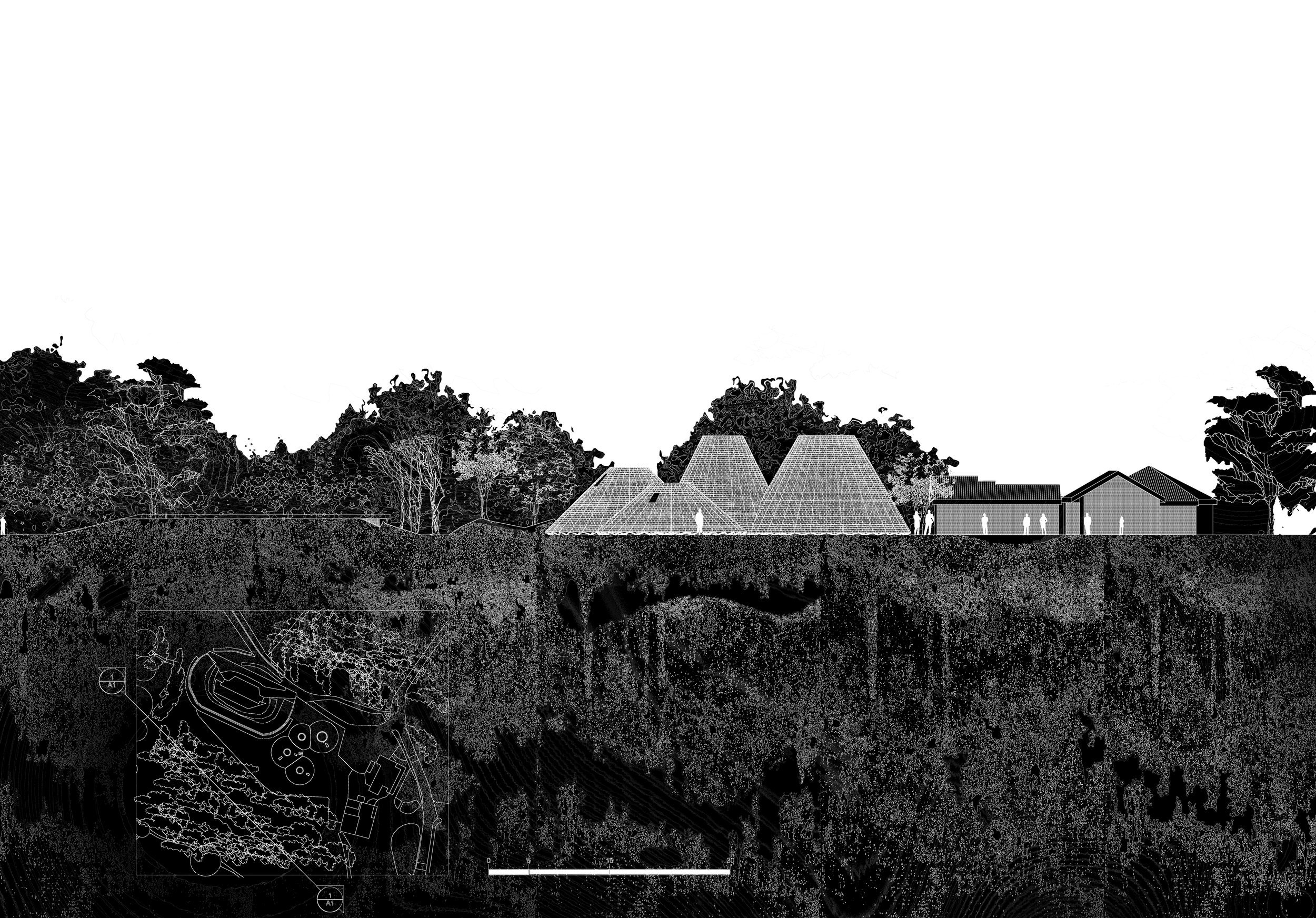 Etched Study — The visitor centre's stepped volumes read against the wooded escarpment.