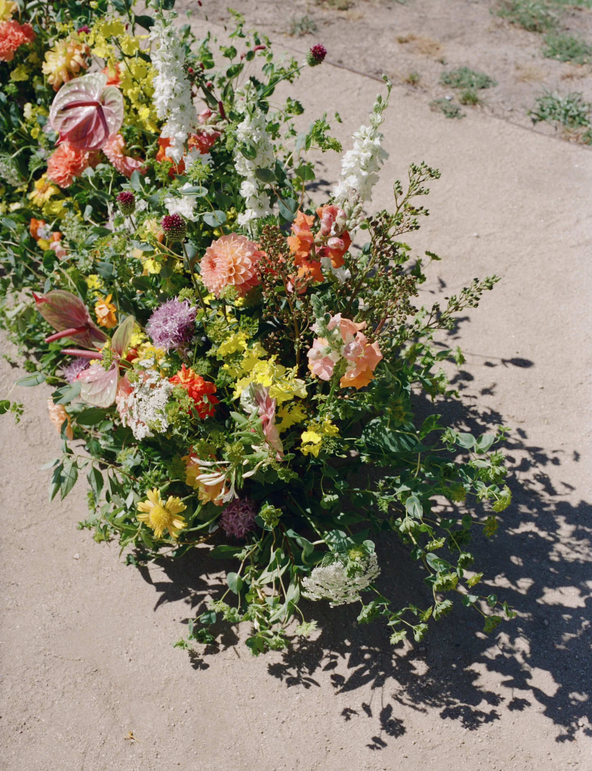 Film-26.jpg