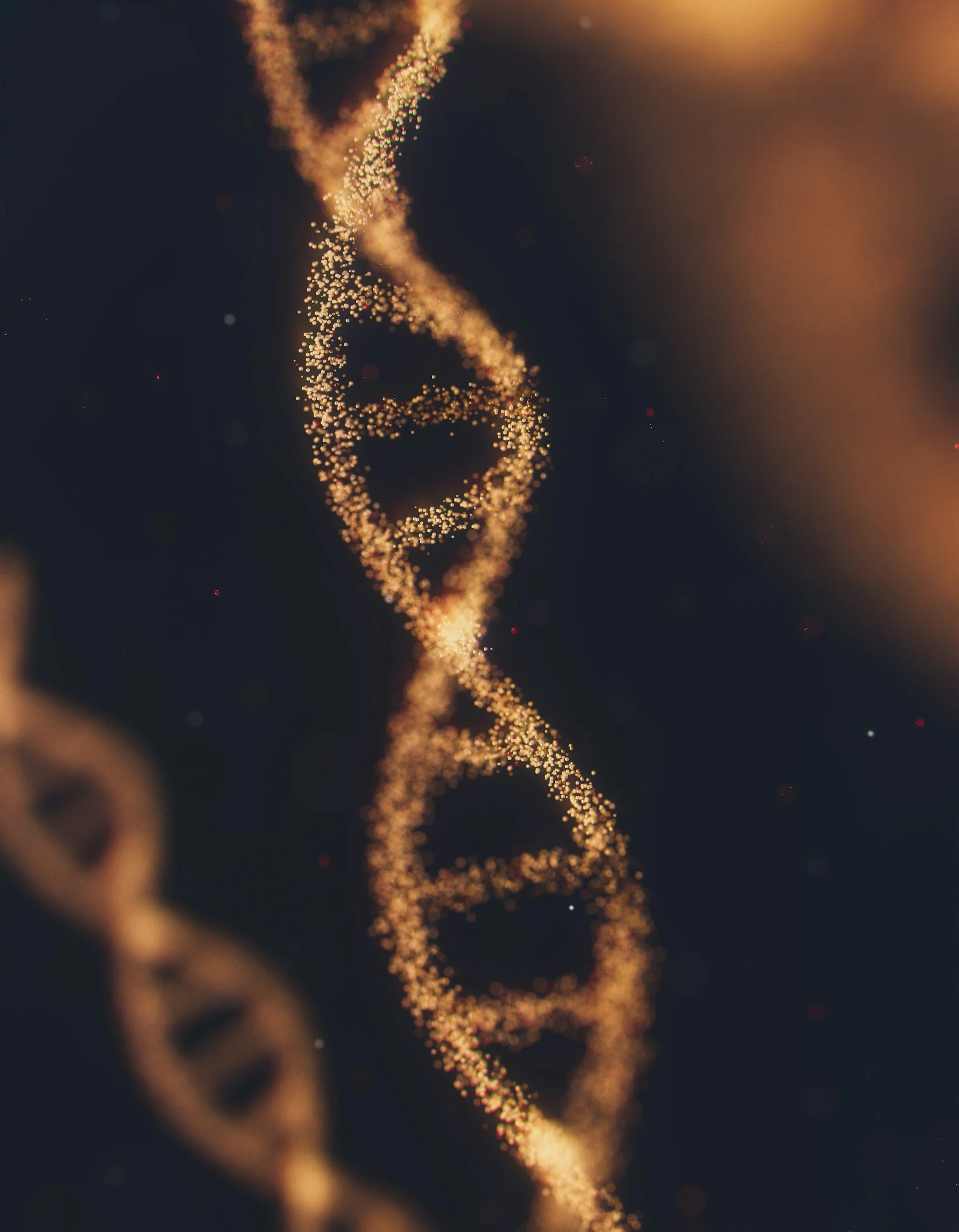 A close-up of a DNA double helix strand illuminated with golden particles against a dark background.