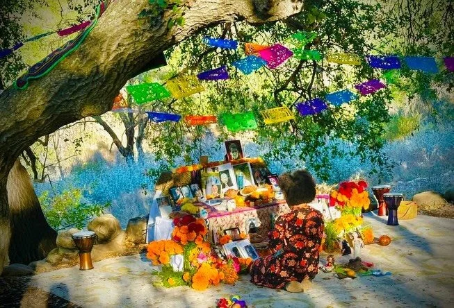 some snapshots of a full november! 
dia de los muertos @topainstitute honoring my ancestars. we were blessed with a heat wave so I had many river &amp; beach days. danced all night with @flowingwithsarah  to @hermanosgutierrez led a women&rsquo;s res