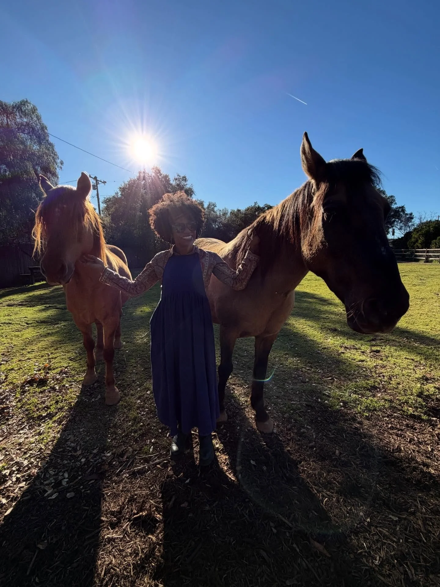 next sunday you could be here with us!! 

enjoying your time outside with horses, moving through grief together and finding beautiful moments of laughter and gratitude. for me grief is a practice. i&rsquo;m so grateful for sharing in ritual, storytel