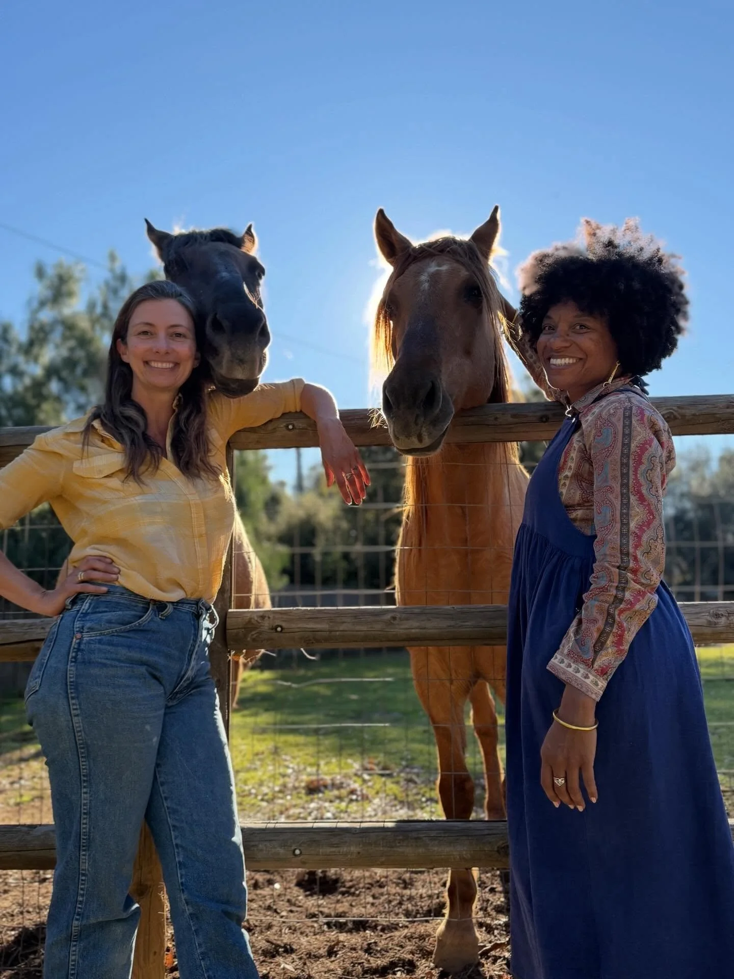 grieve and breathe with horses feels divinely guided. grief witnessed and joy embodied. yes, they can coexist and i am always grateful to hear when someone shares they see me as living proof of this. pain and purpose, grief and gratitude, peril and p