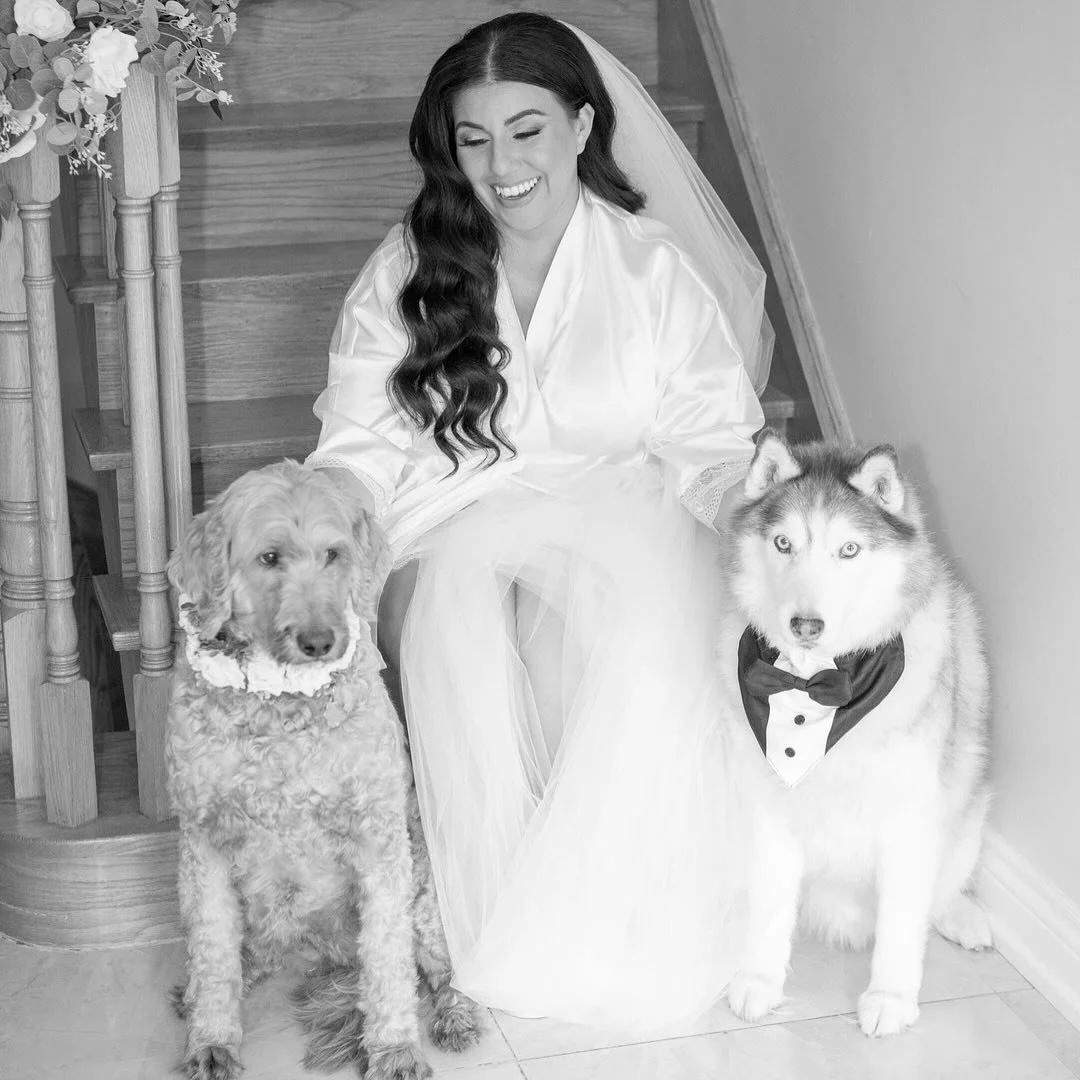 Because no wedding day is complete without your furry family. 🐾
⠀⠀⠀⠀⠀⠀⠀⠀⠀
From floral collars to tuxedo bowties, our beautiful bride Cassandra and her pets had their moment to shine.
⠀⠀⠀⠀⠀⠀⠀⠀⠀
At La Vita Events, we handle every detail&mdash;so you c