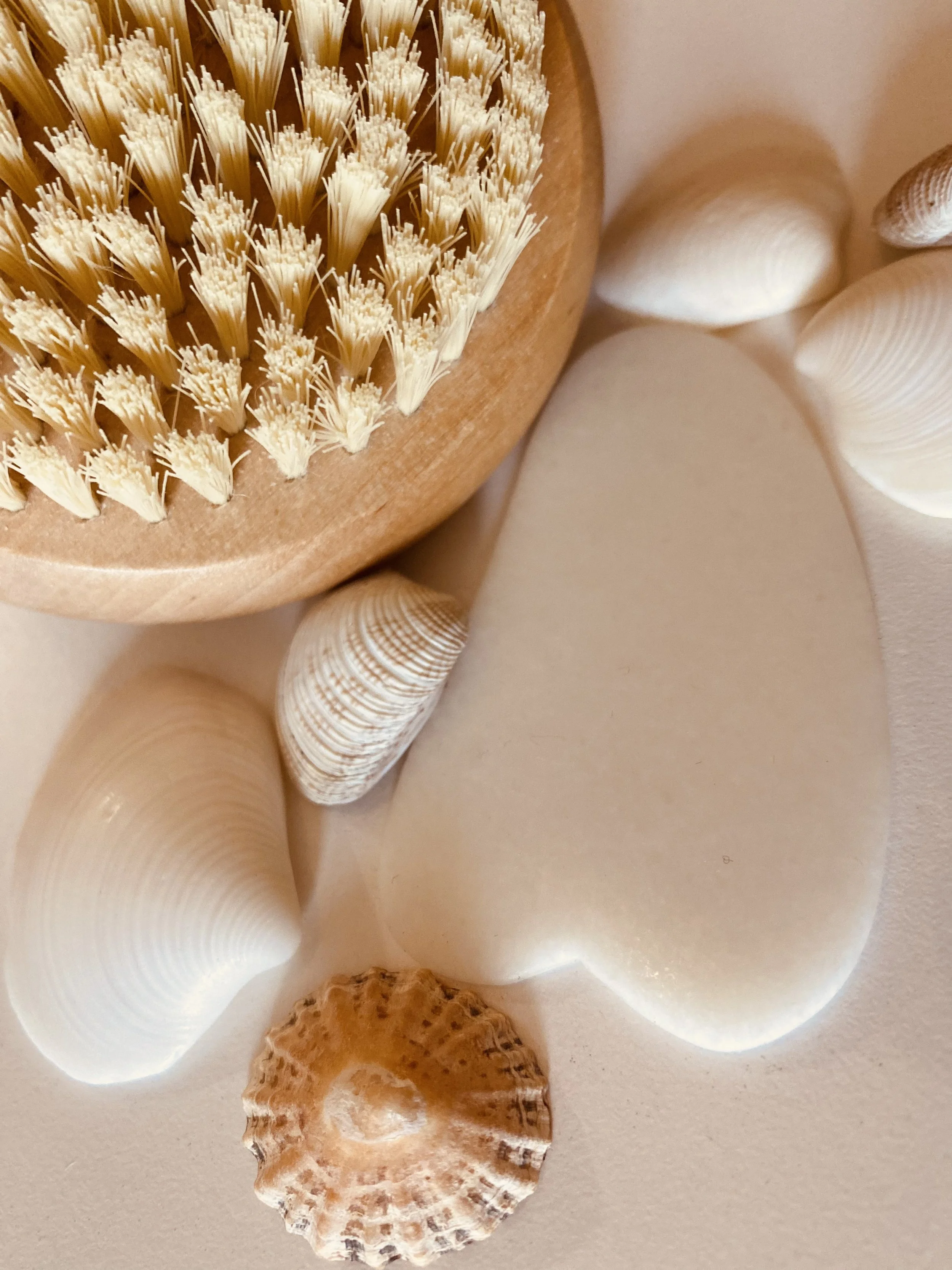 Close-up of a wooden dish with natural bristle brush, surrounded by four seashells of various shapes and colors on a light surface.