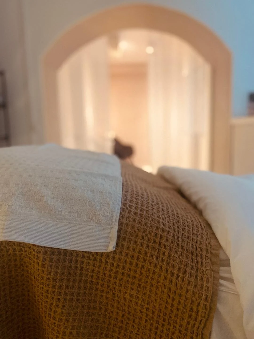 Close-up of bed with white and beige linens in a cozy bedroom, blurred doorway with light and a silhouetted cat in the background.