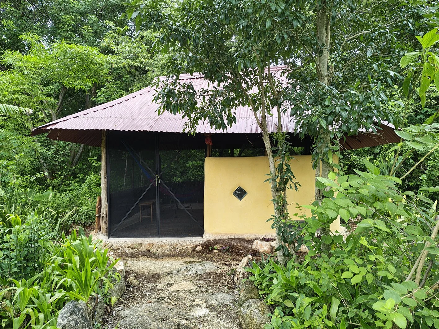 A small house with a pink metal roof, yellow wall, and glass sliding doors, surrounded by lush green foliage and trees.
