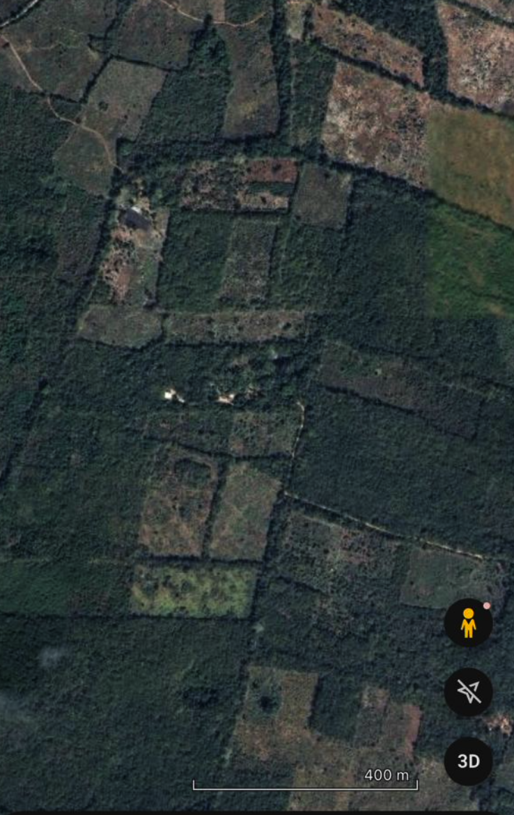 Aerial view of farmland and forested areas with various rectangular and irregularly shaped fields, some with visible crop patterns.