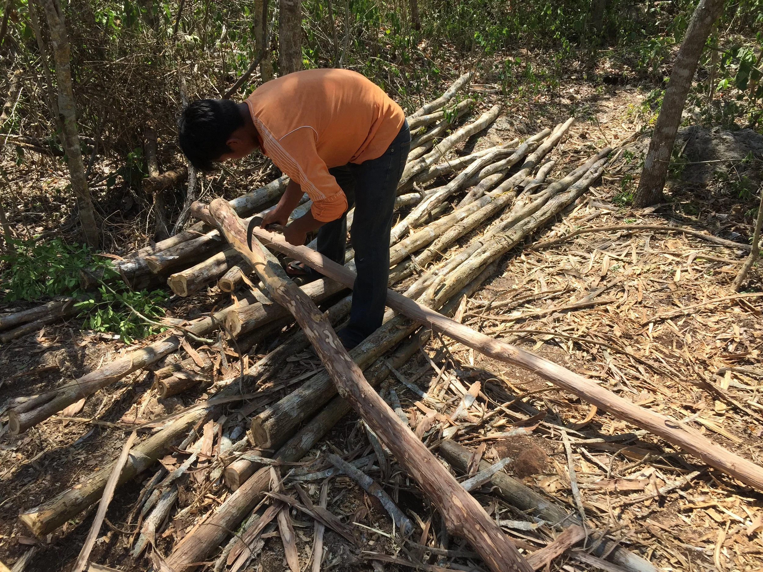 A person sawing a wooden stick while working outdoors in a wooded area, surrounded by fallen branches and trees.