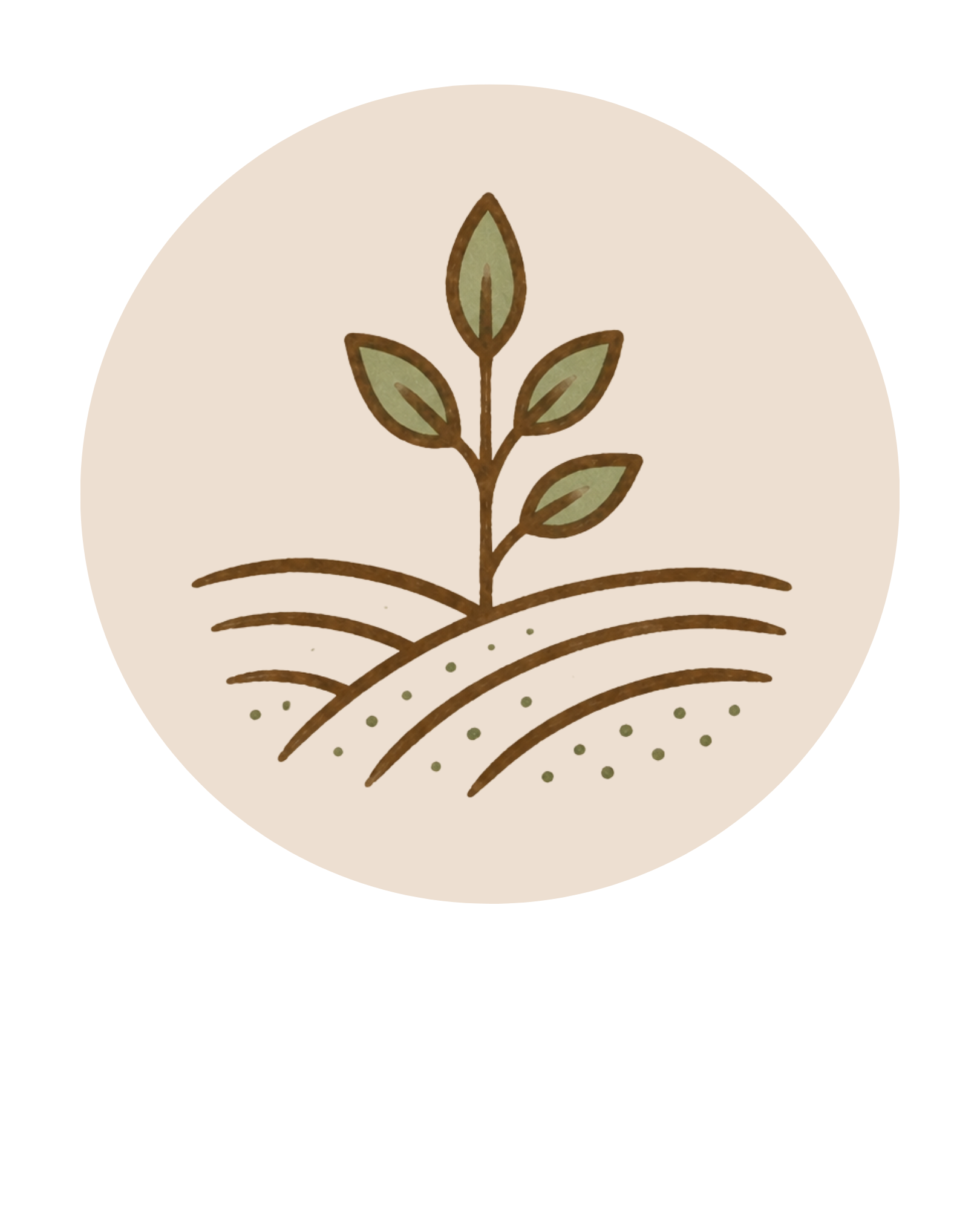 Illustration of a sprouting plant with five leaves above curved lines representing soil and growth layers.