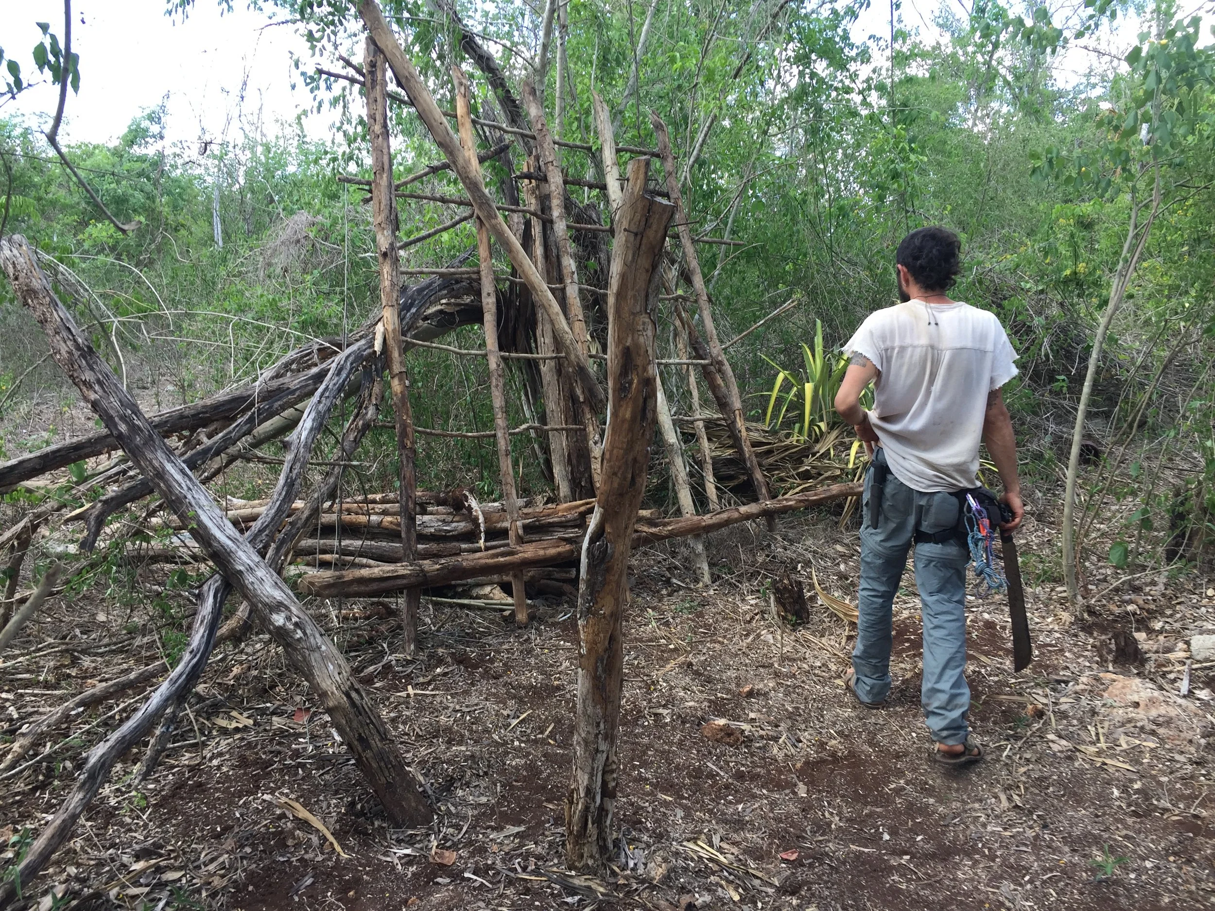 A person with dark hair, dressed in a white t-shirt and gray pants, stands in a forested area, looking at a makeshift structure made of wooden sticks and branches.